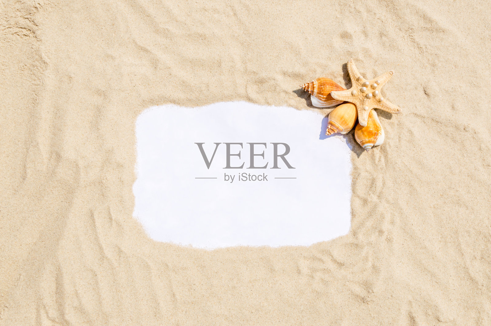 贝壳和海星在金色的沙滩上。暑假概念与文本信息copyspace照片摄影图片