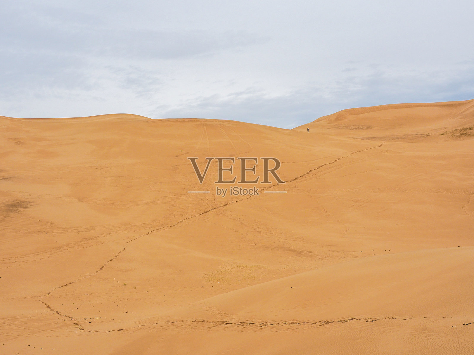 戈壁沙漠、蒙古照片摄影图片