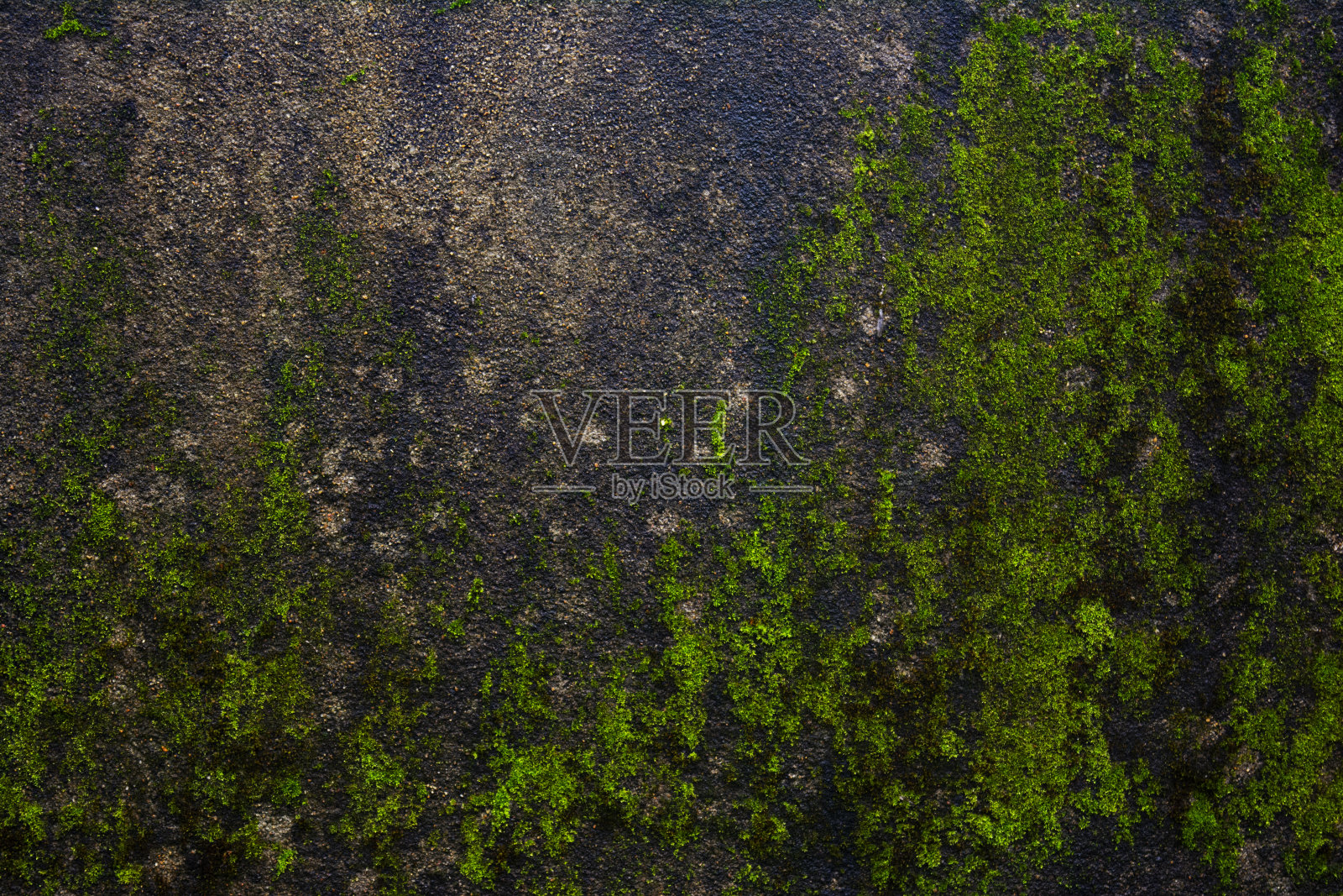 水泥墙上的青苔-背景照片摄影图片