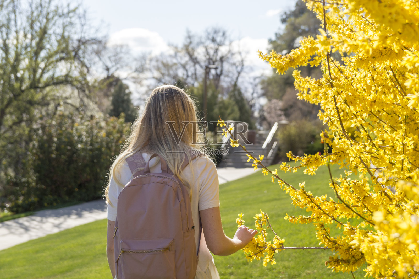 春天里漫步在大学校园里的女学生照片摄影图片