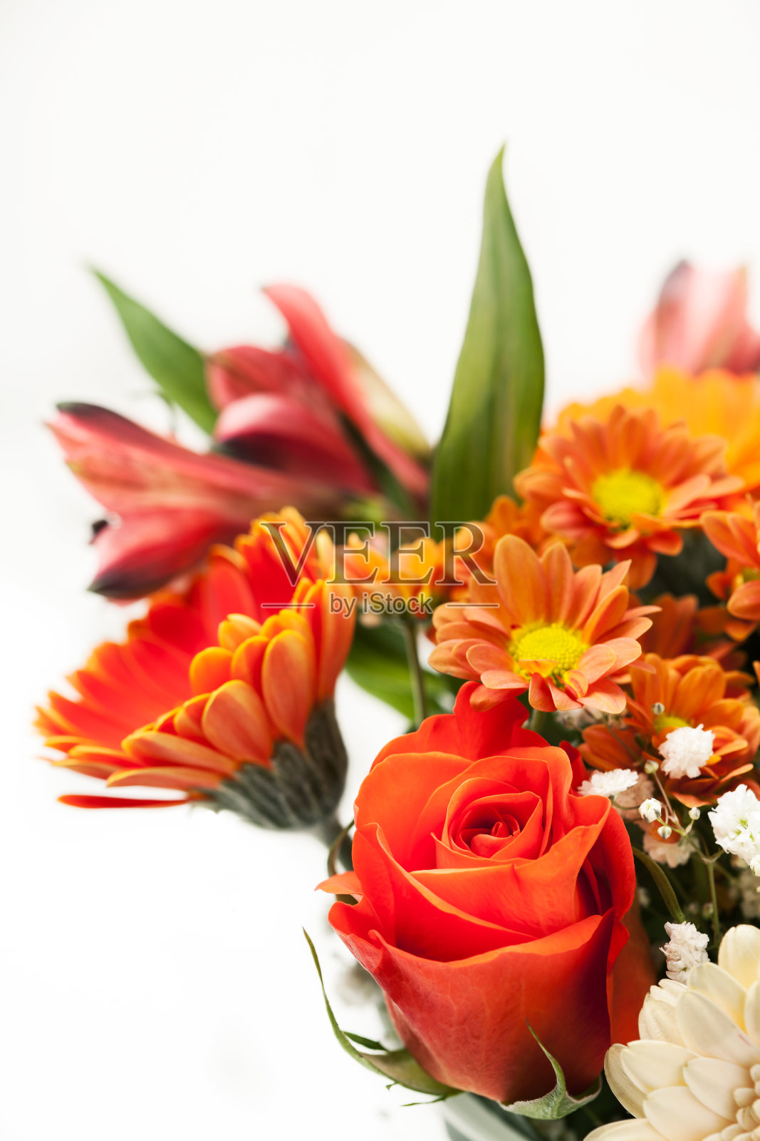 一束红色和橙色的花照片摄影图片