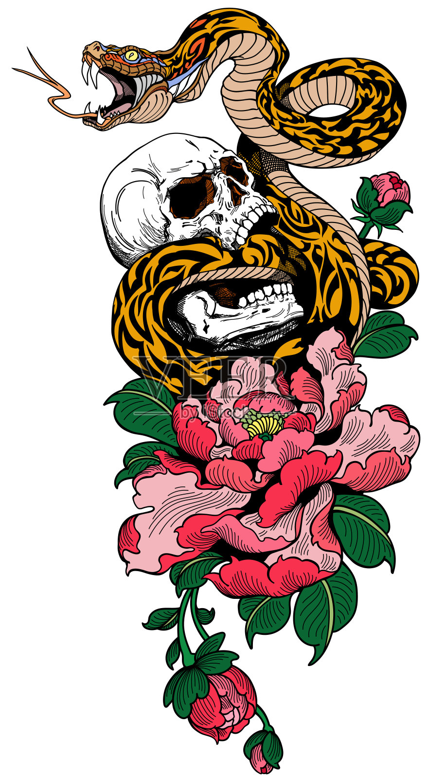 蛇，破头骨和牡丹。纹身插画图片素材