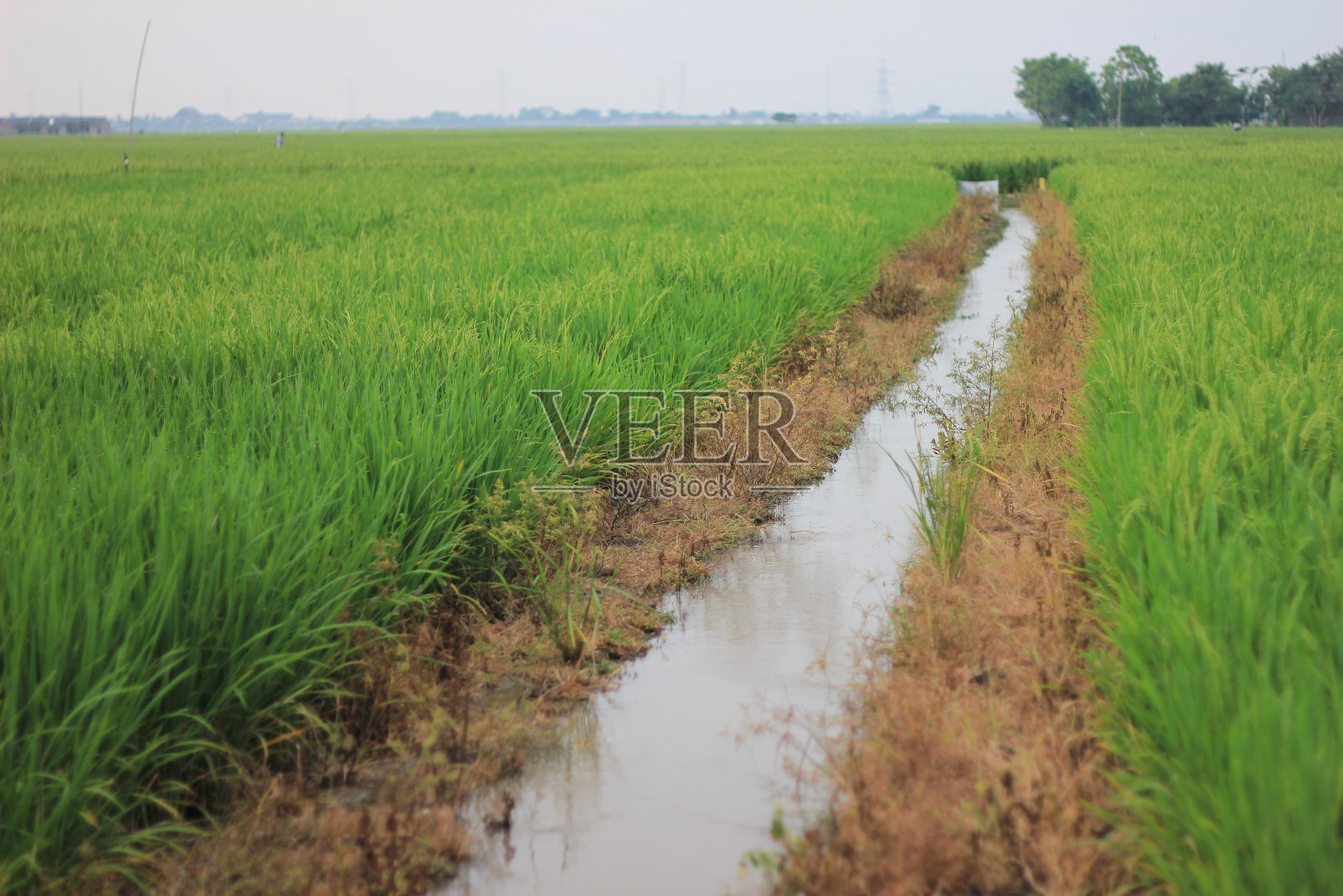 灌溉渠道照片摄影图片