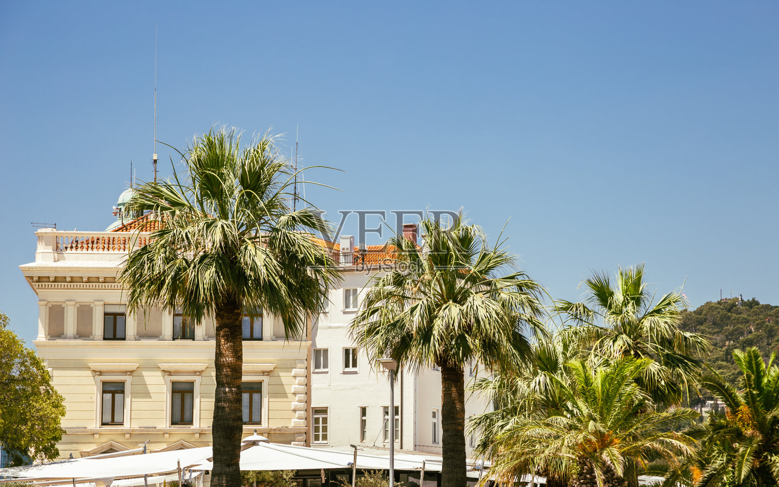 克罗地亚斯普利特里瓦大街上的棕榈树和老建筑照片摄影图片