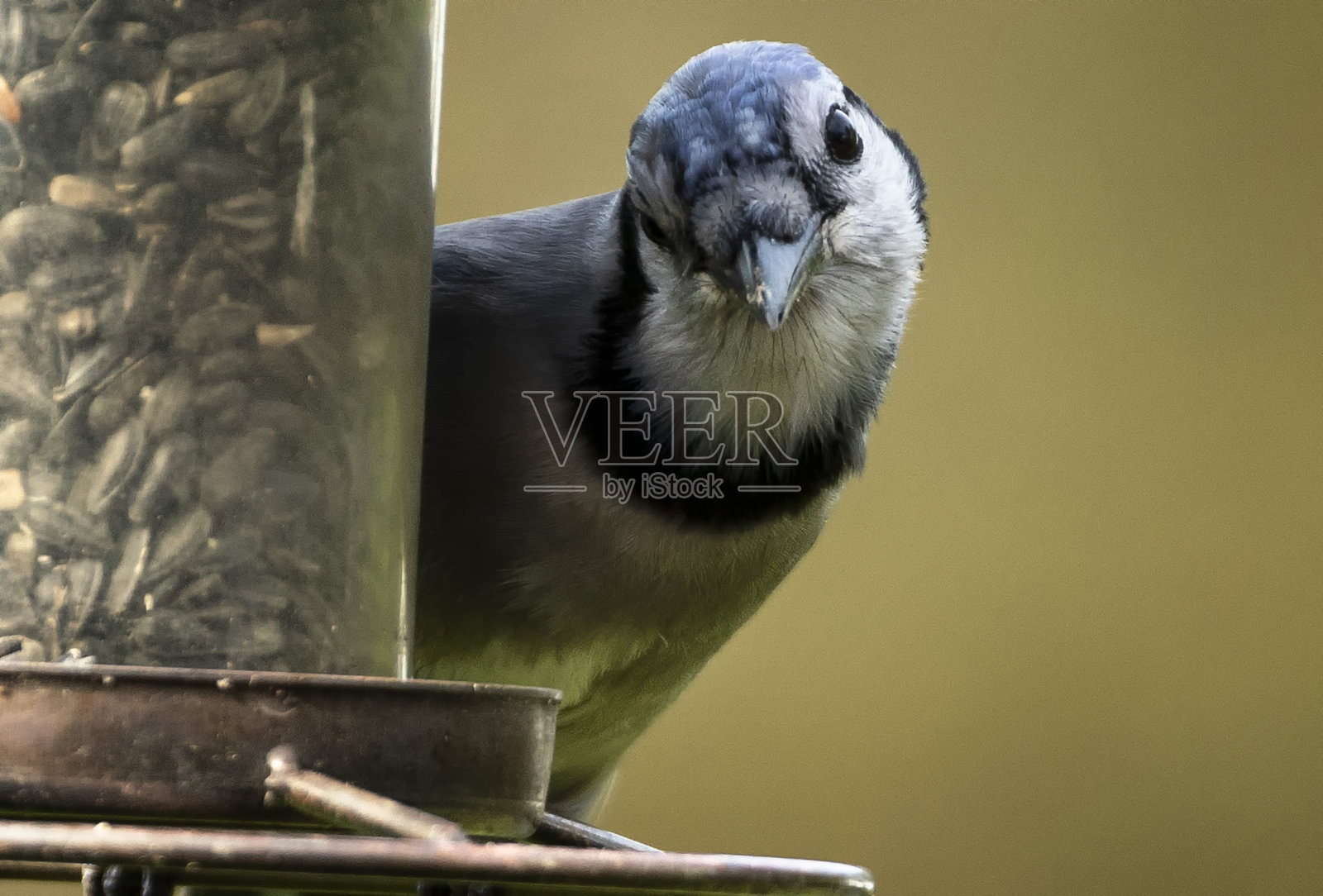 向外看照片摄影图片