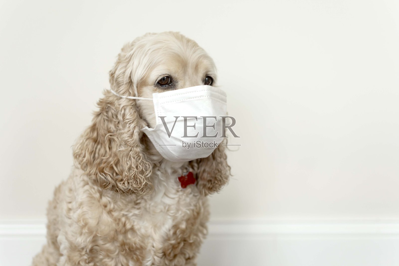 新型冠状病毒肺炎照片摄影图片