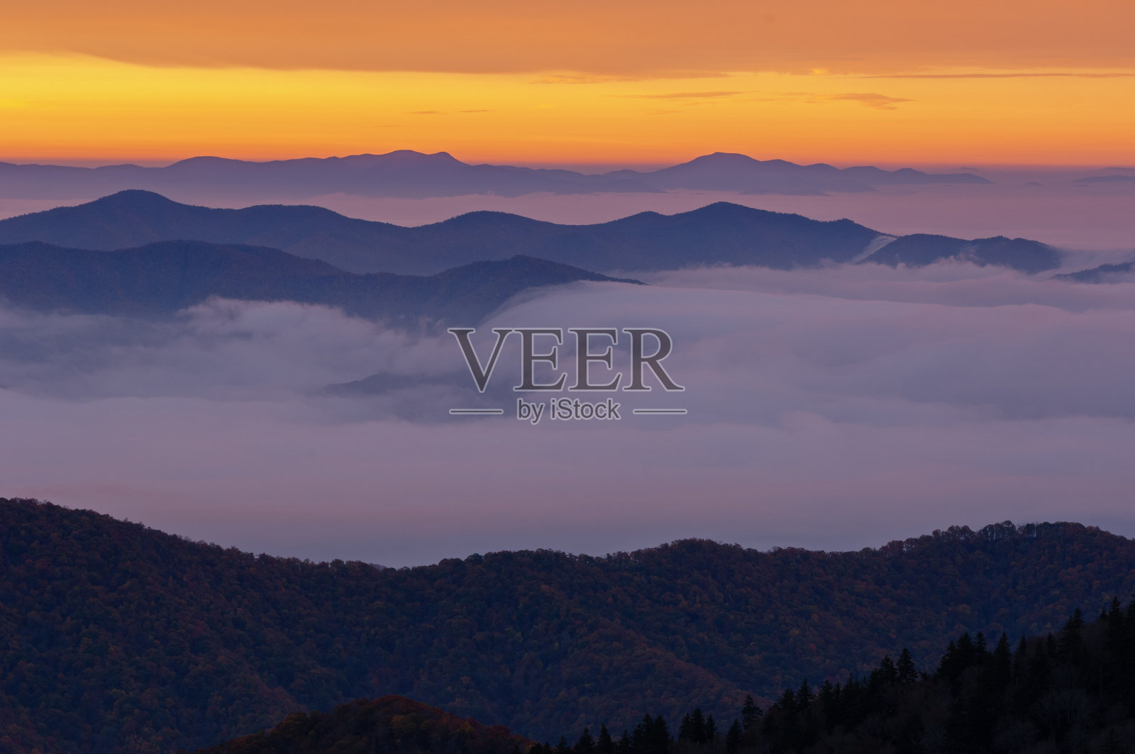 Dawn Clingman的Dome Smoky Mountains照片摄影图片