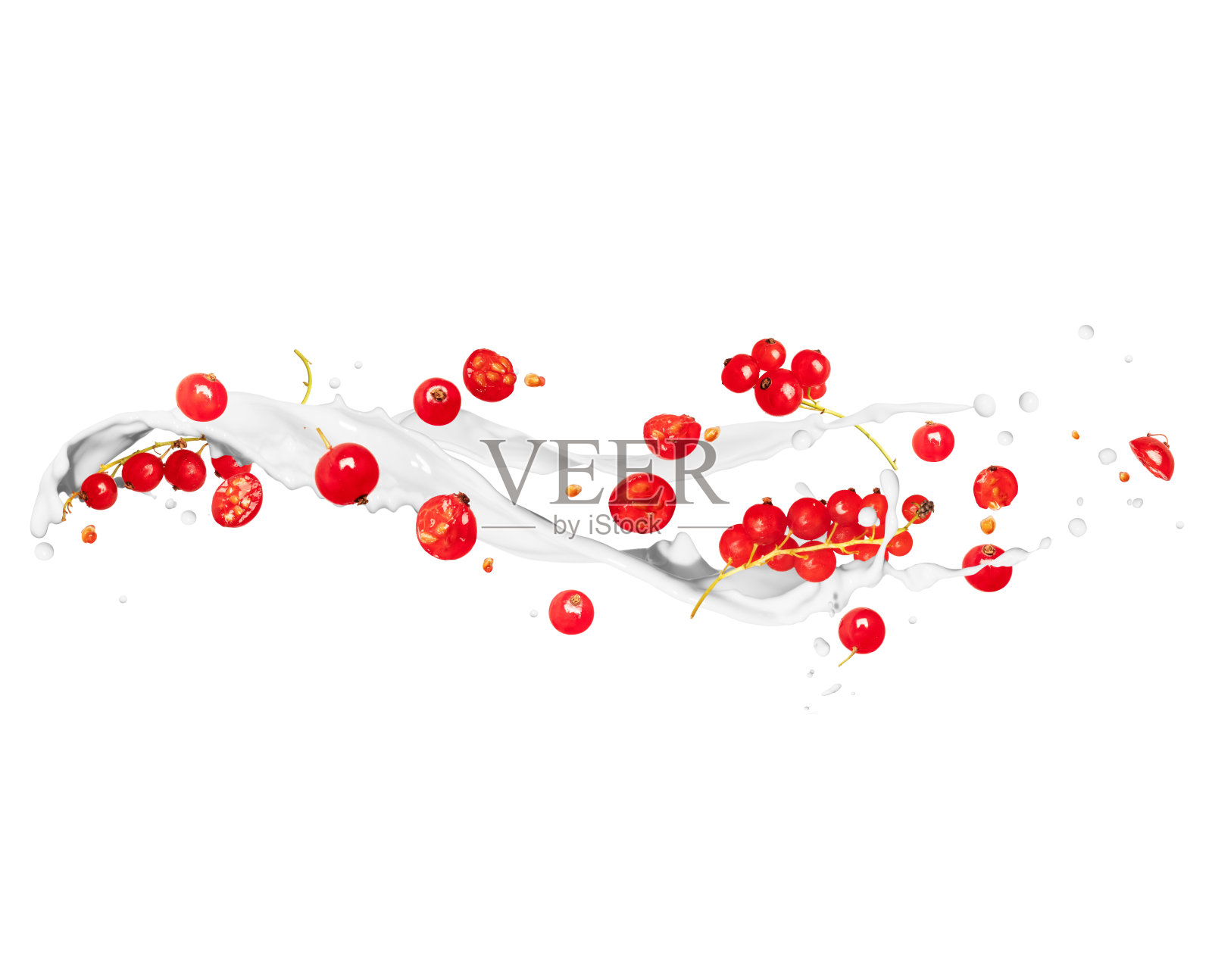 整个和切片红醋栗与牛奶溅照片摄影图片