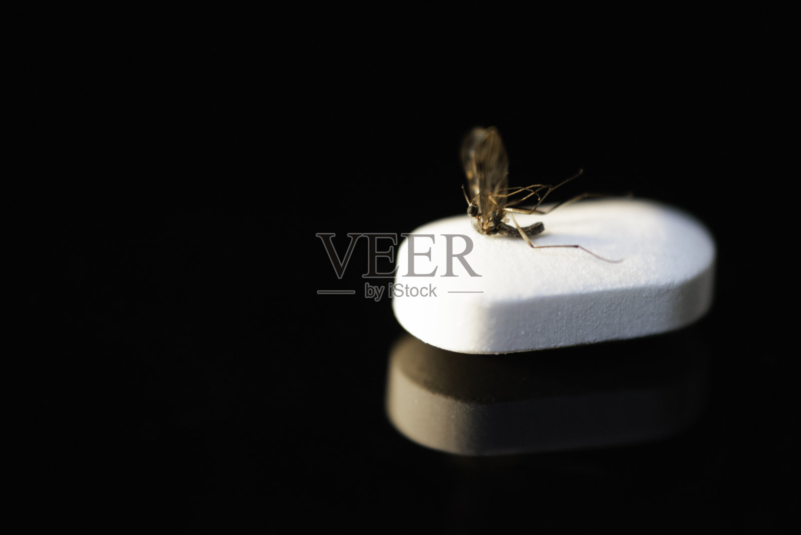 黑色背景下的白色药丸和死蚊子照片摄影图片