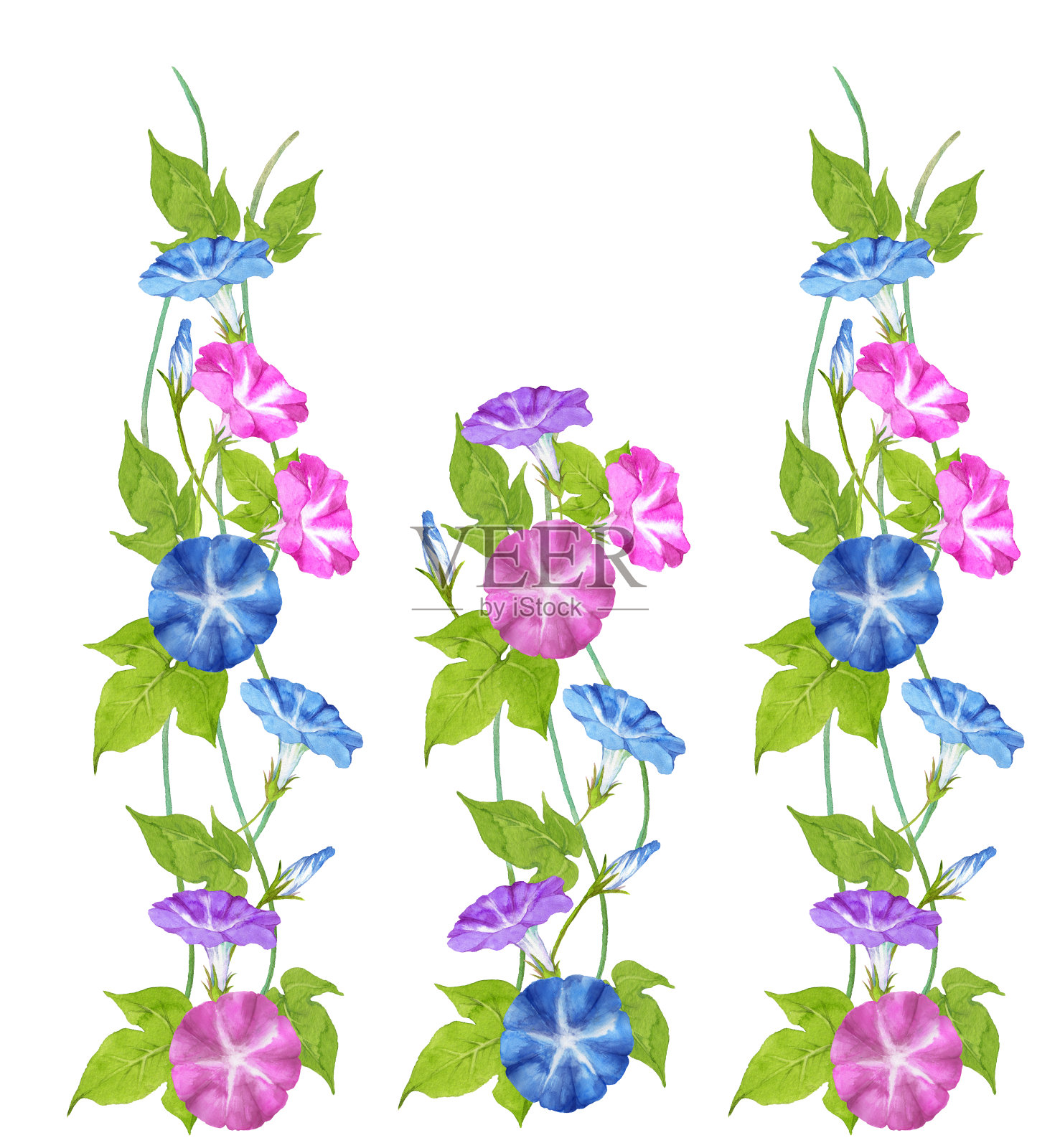 牵牛花装饰插画图片素材