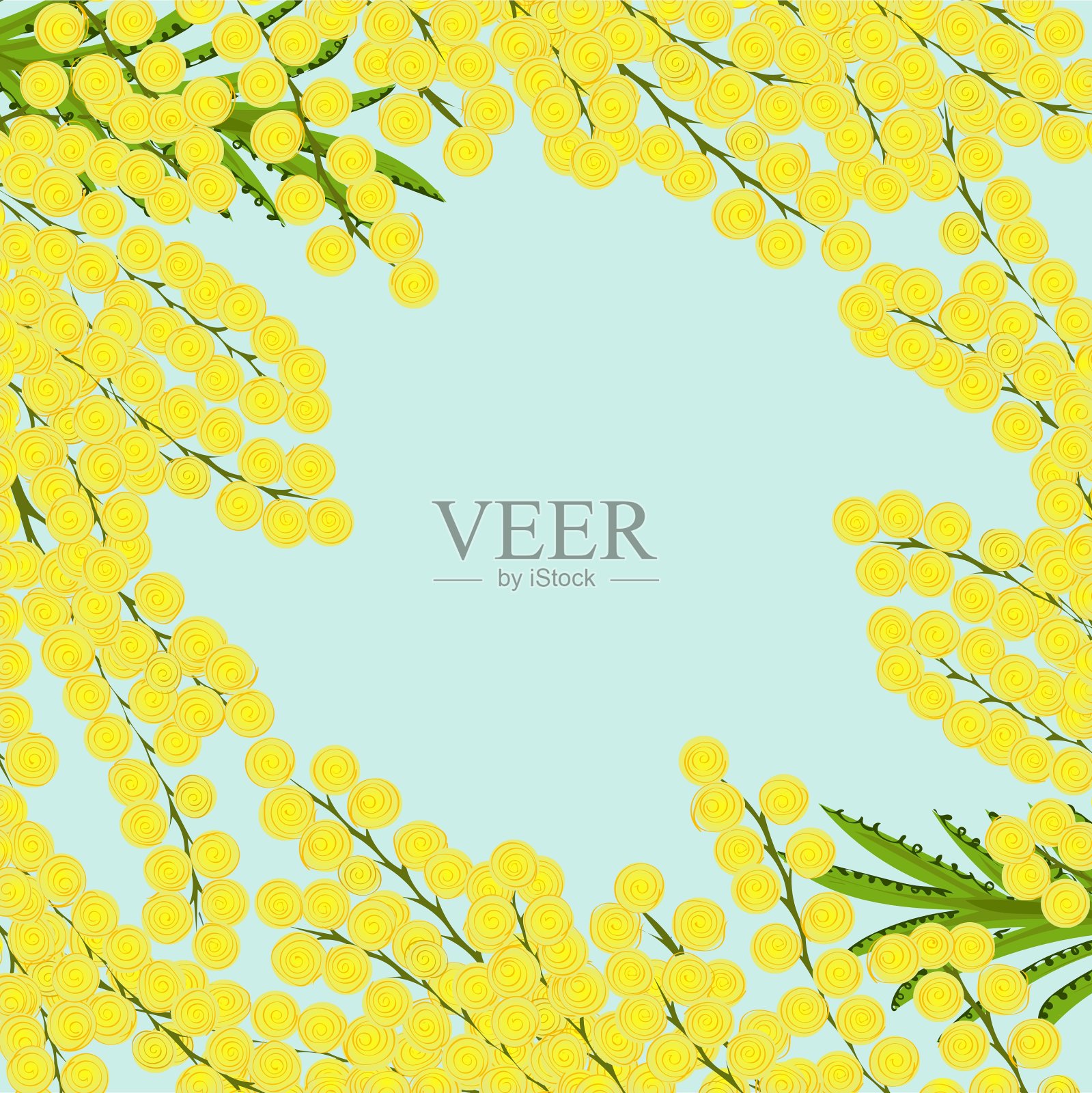 花的背景框架的枝含羞草插画图片素材