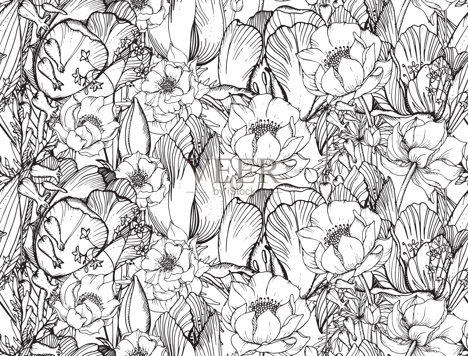 无缝图案与图形春天的花插画图片素材