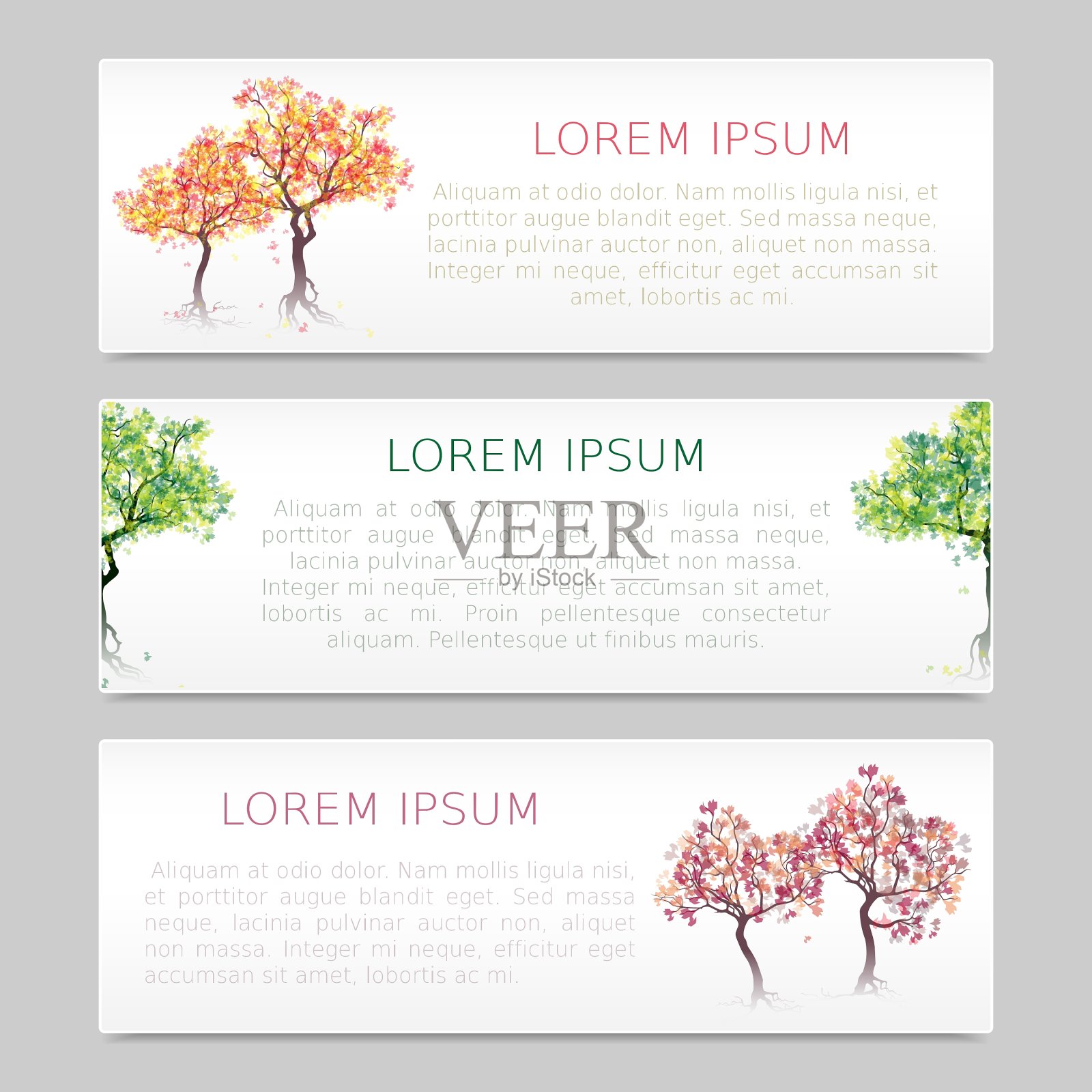 三幅旗帜与抽象的树木插画图片素材