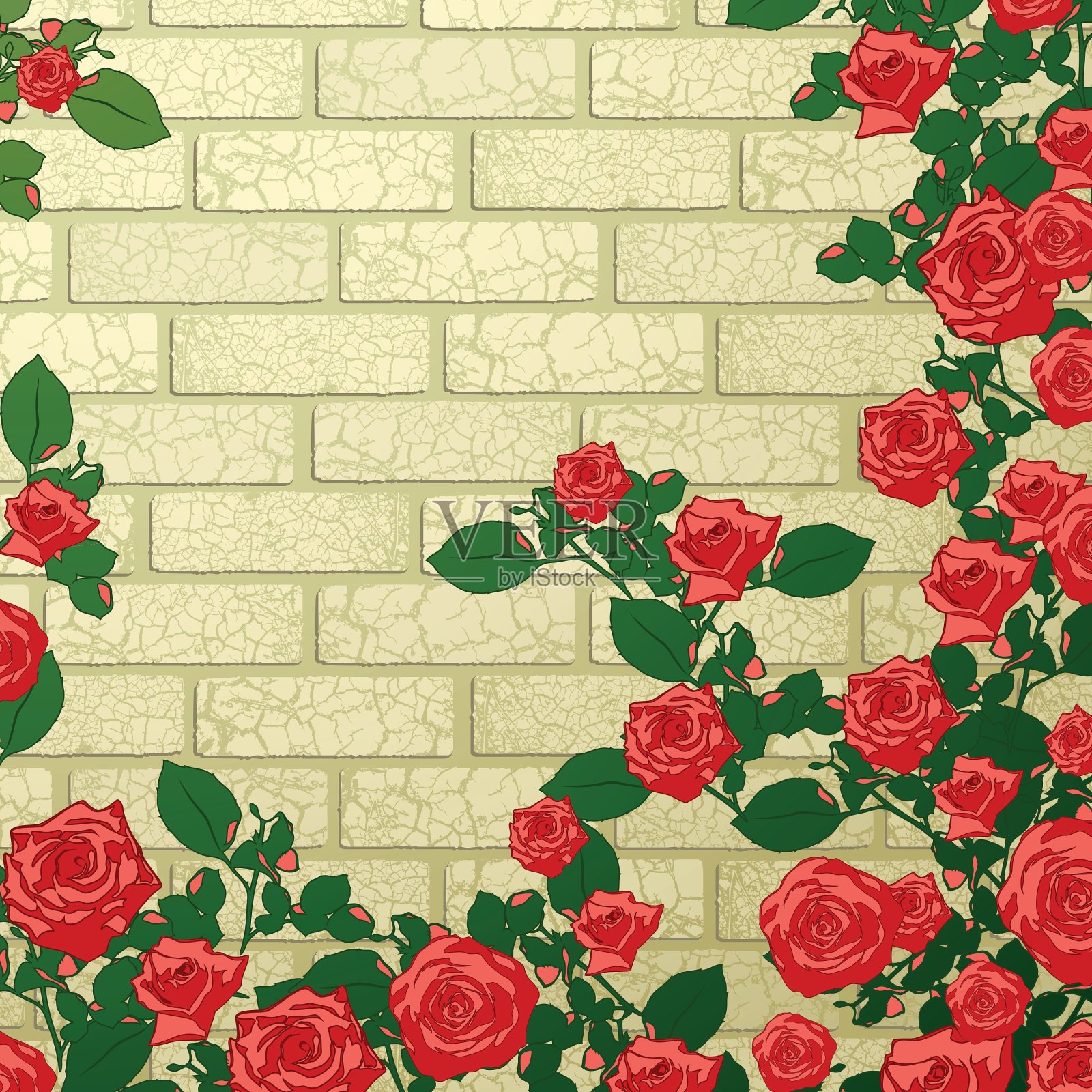 背景与玫瑰插画图片素材