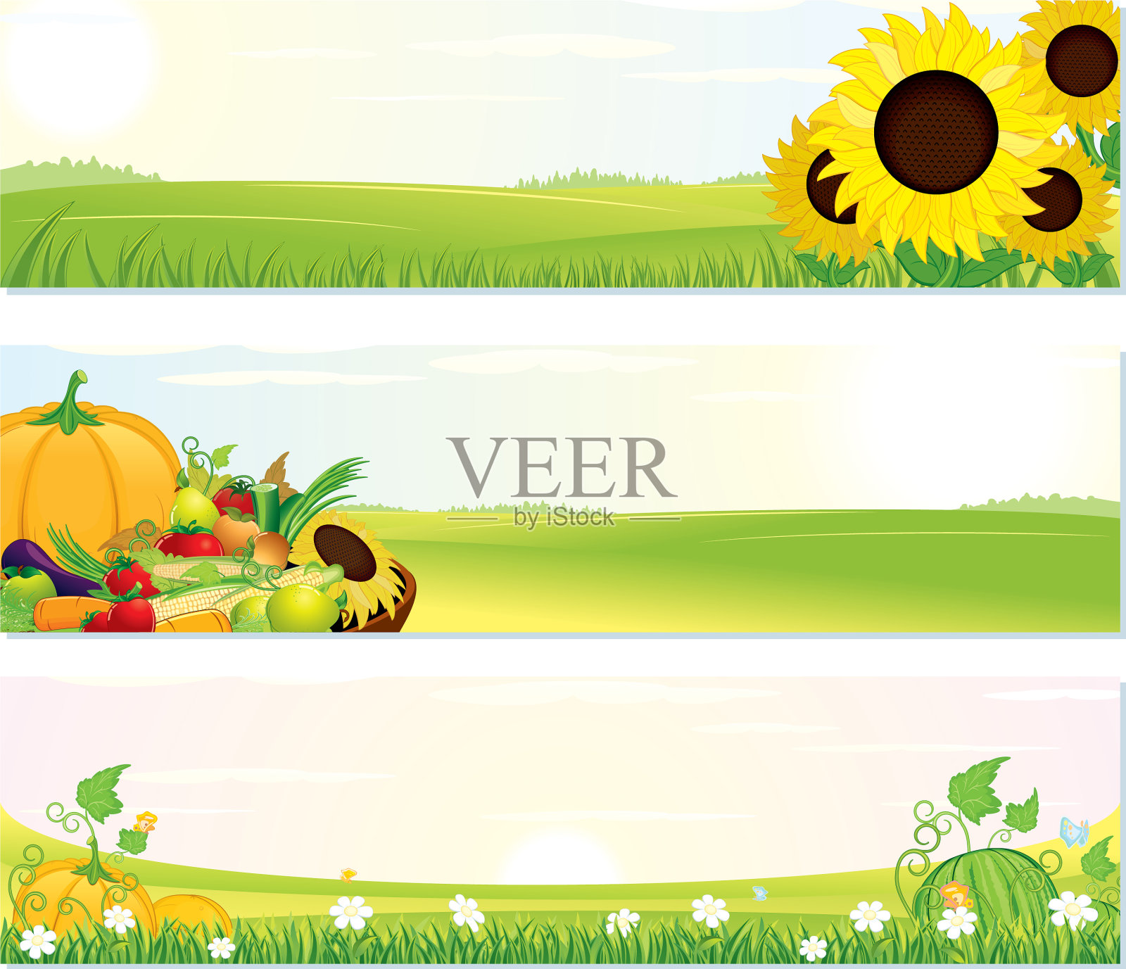 自然新鲜的横幅插画图片素材