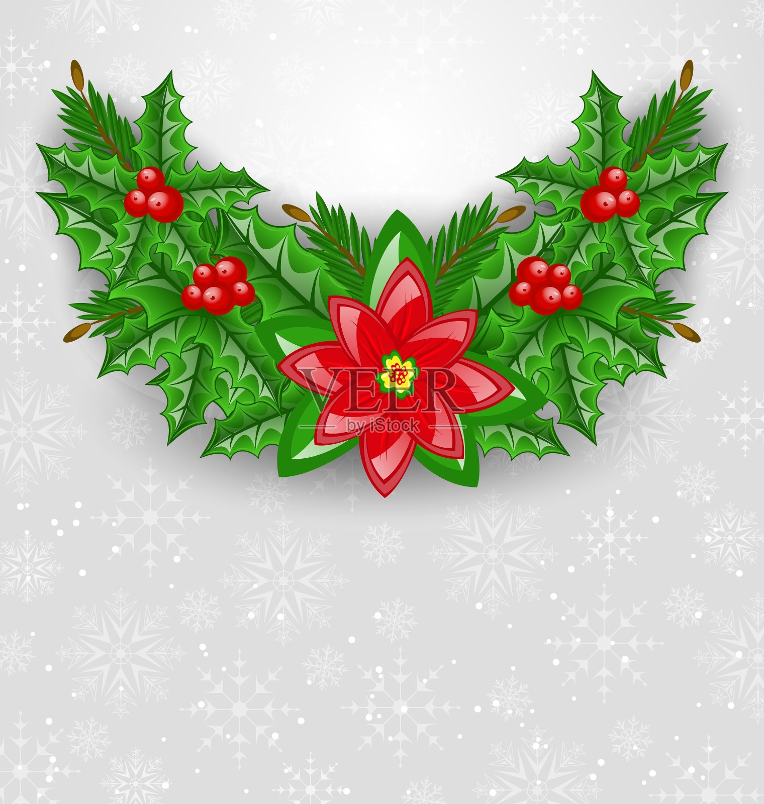 圣诞装饰用冬青、浆果、松木和插画图片素材