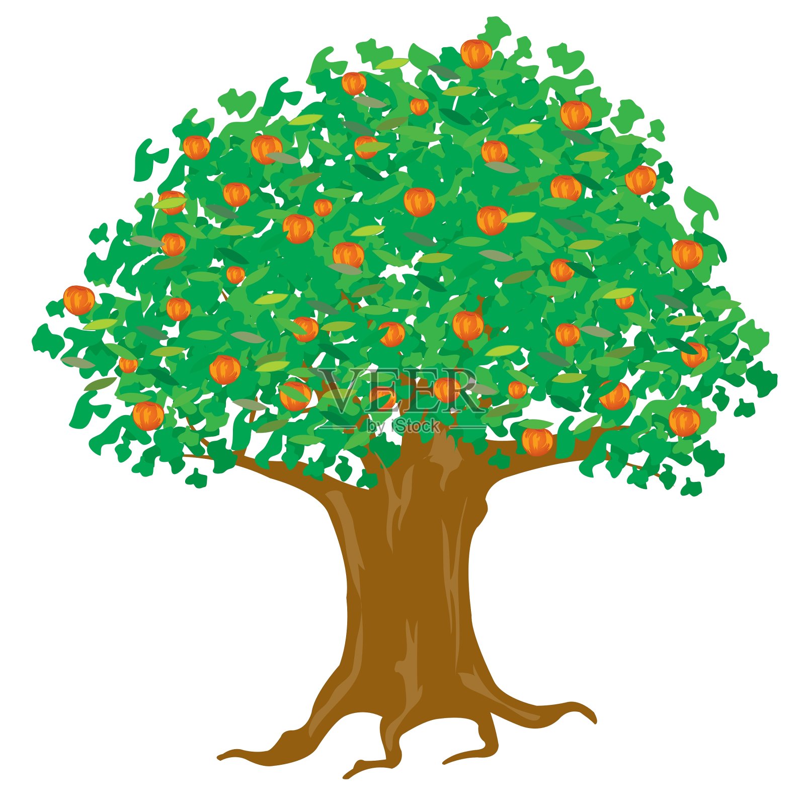 熟苹果树插画图片素材