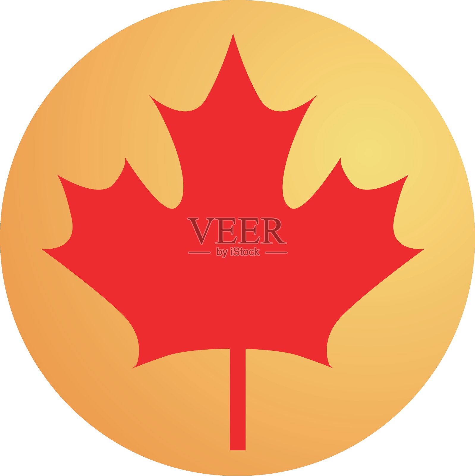 枫木插画图片素材