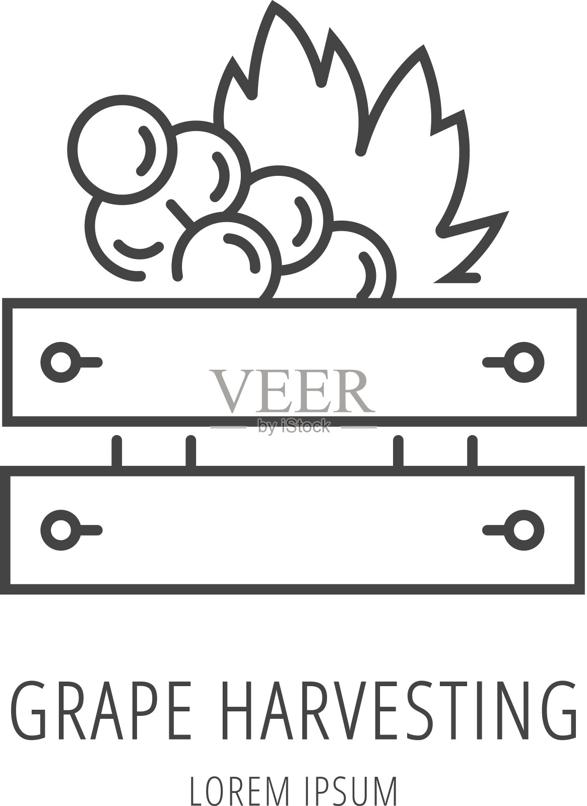 简单的标志模板葡萄酒收获插画图片素材