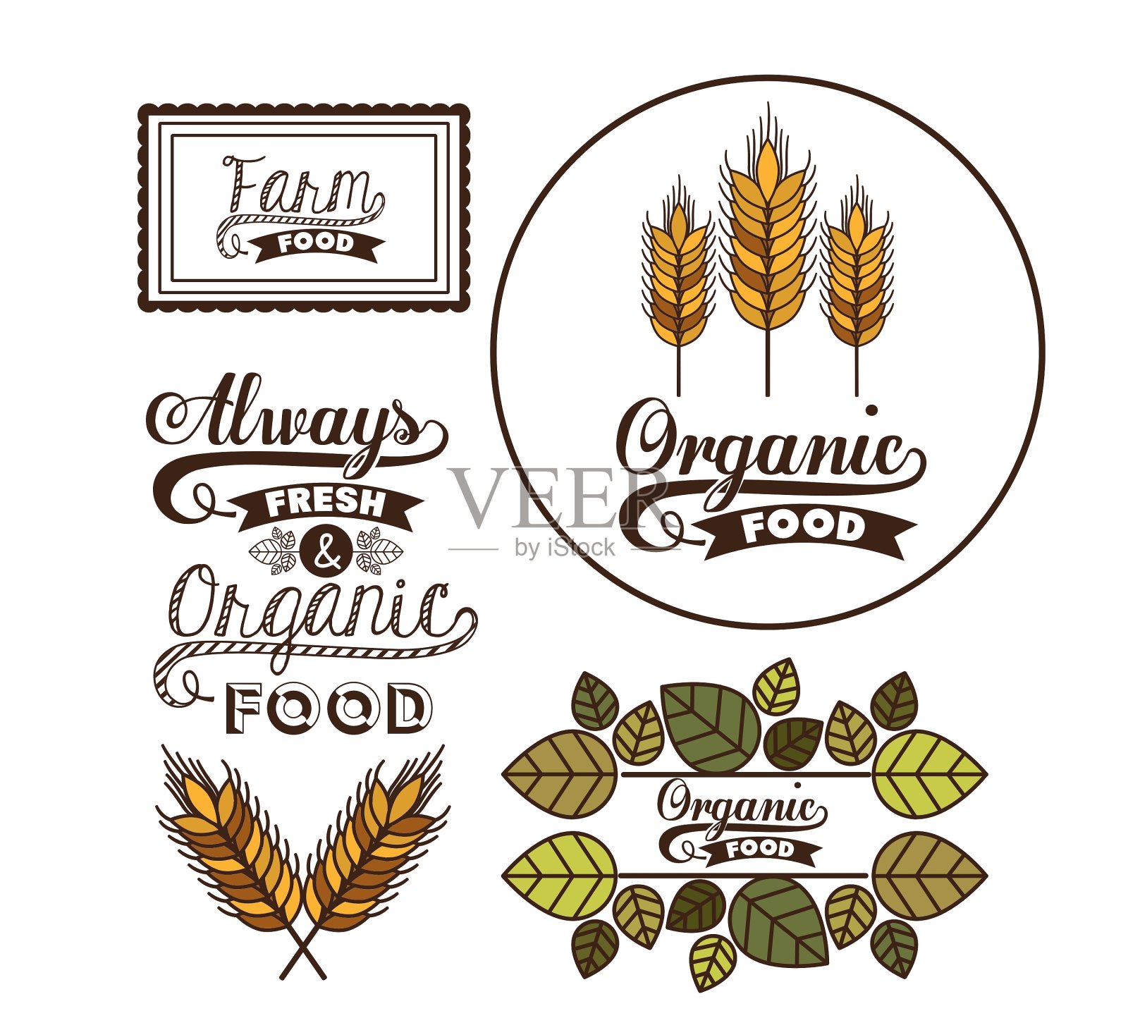 有机食品设计插画图片素材