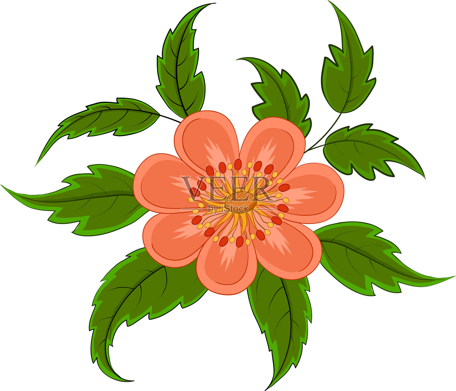 抽象的花朵设计元素图片