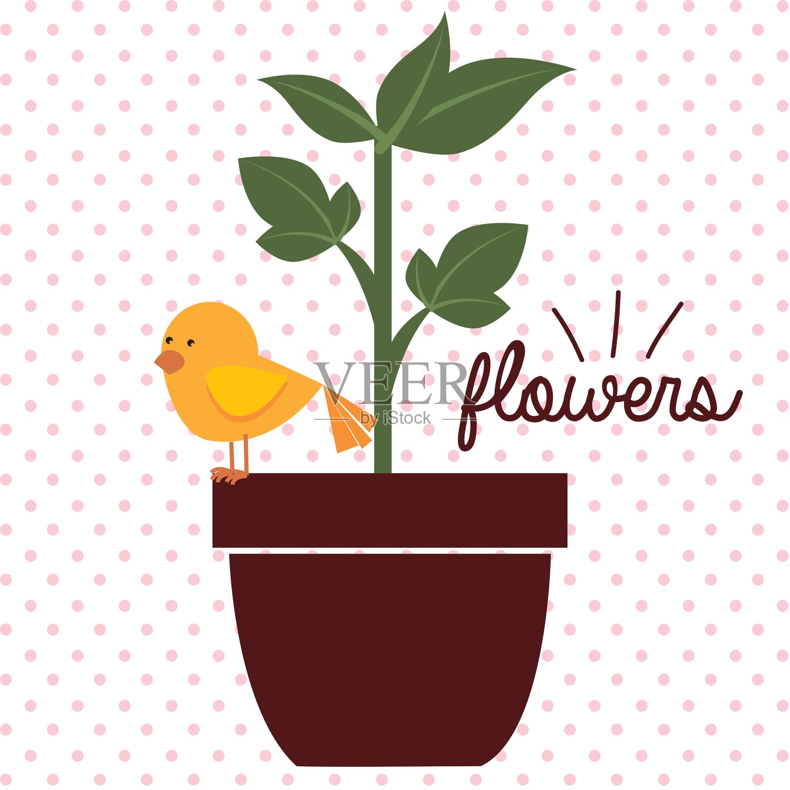 美丽的花卉设计插画图片素材