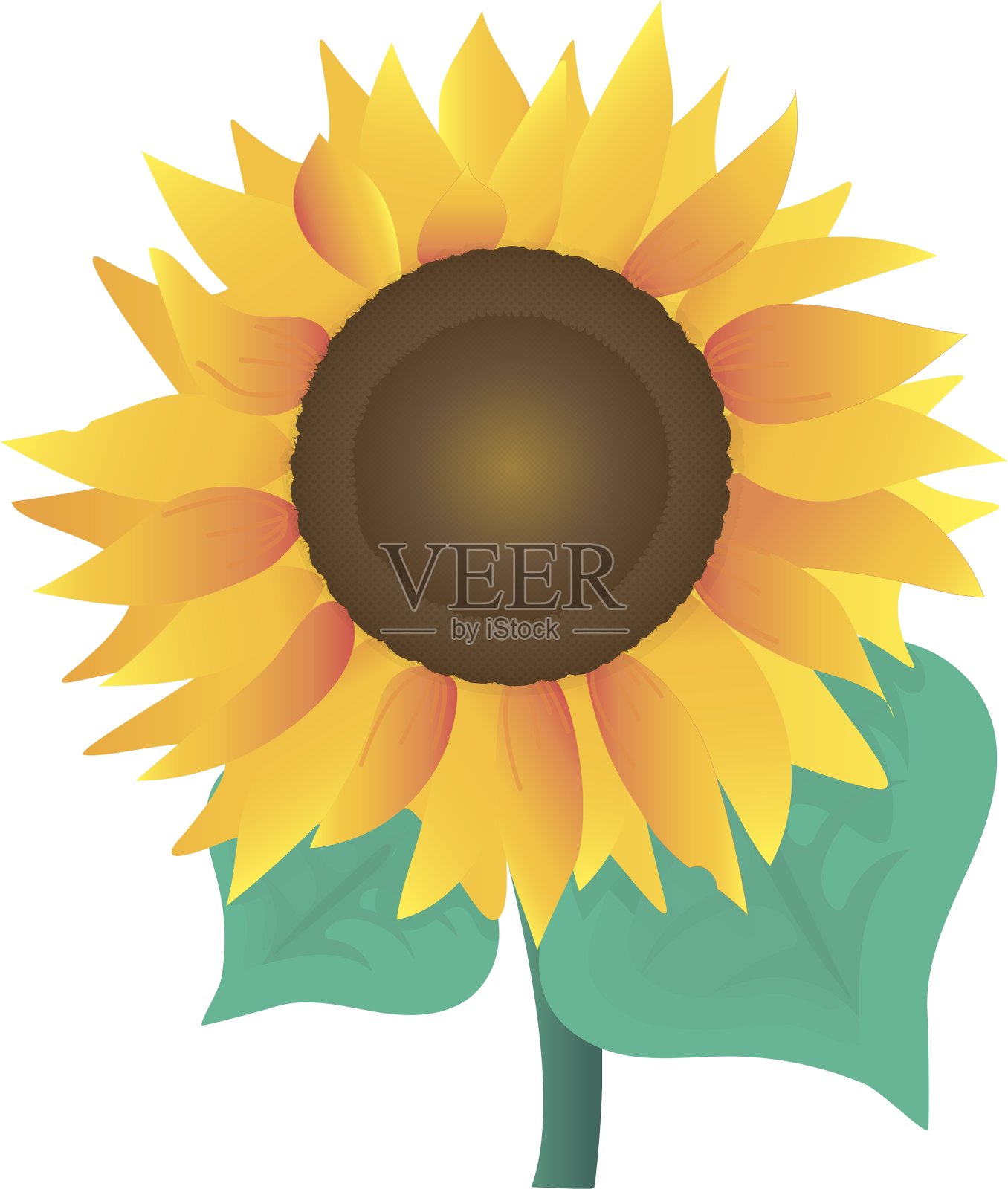 向日葵设计元素图片