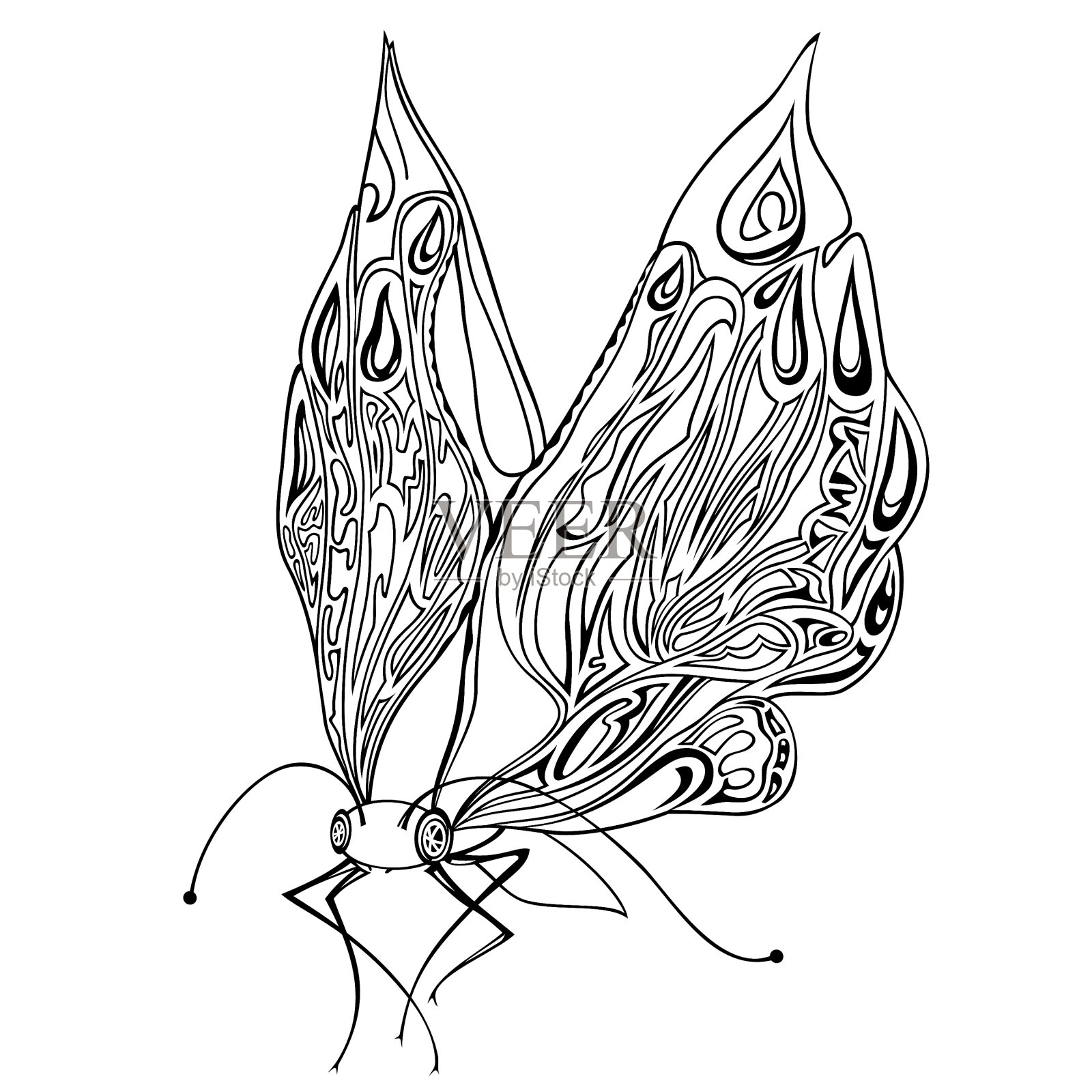 装饰昆虫蝴蝶设计元素图片