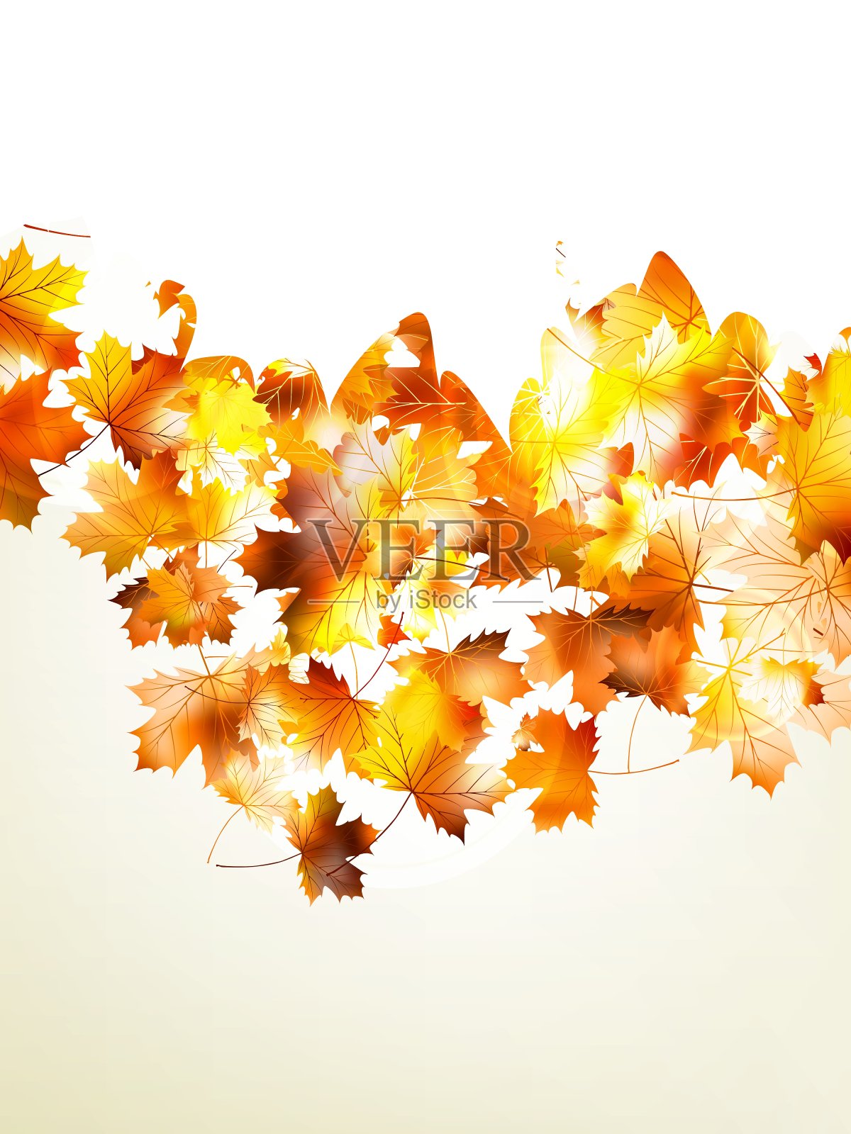 秋日的枫叶和阳光EPS 10插画图片素材