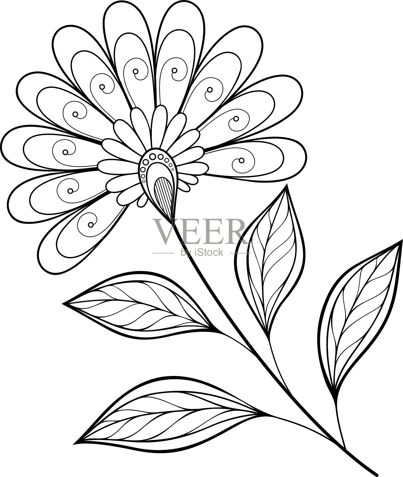 美丽的单色轮廓花插画图片素材