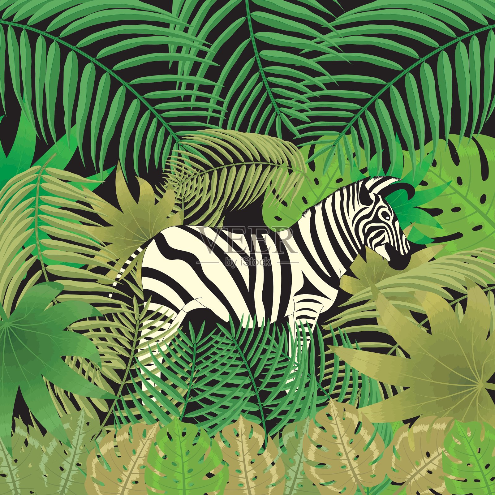 想象一下丛林里的斑马插画图片素材