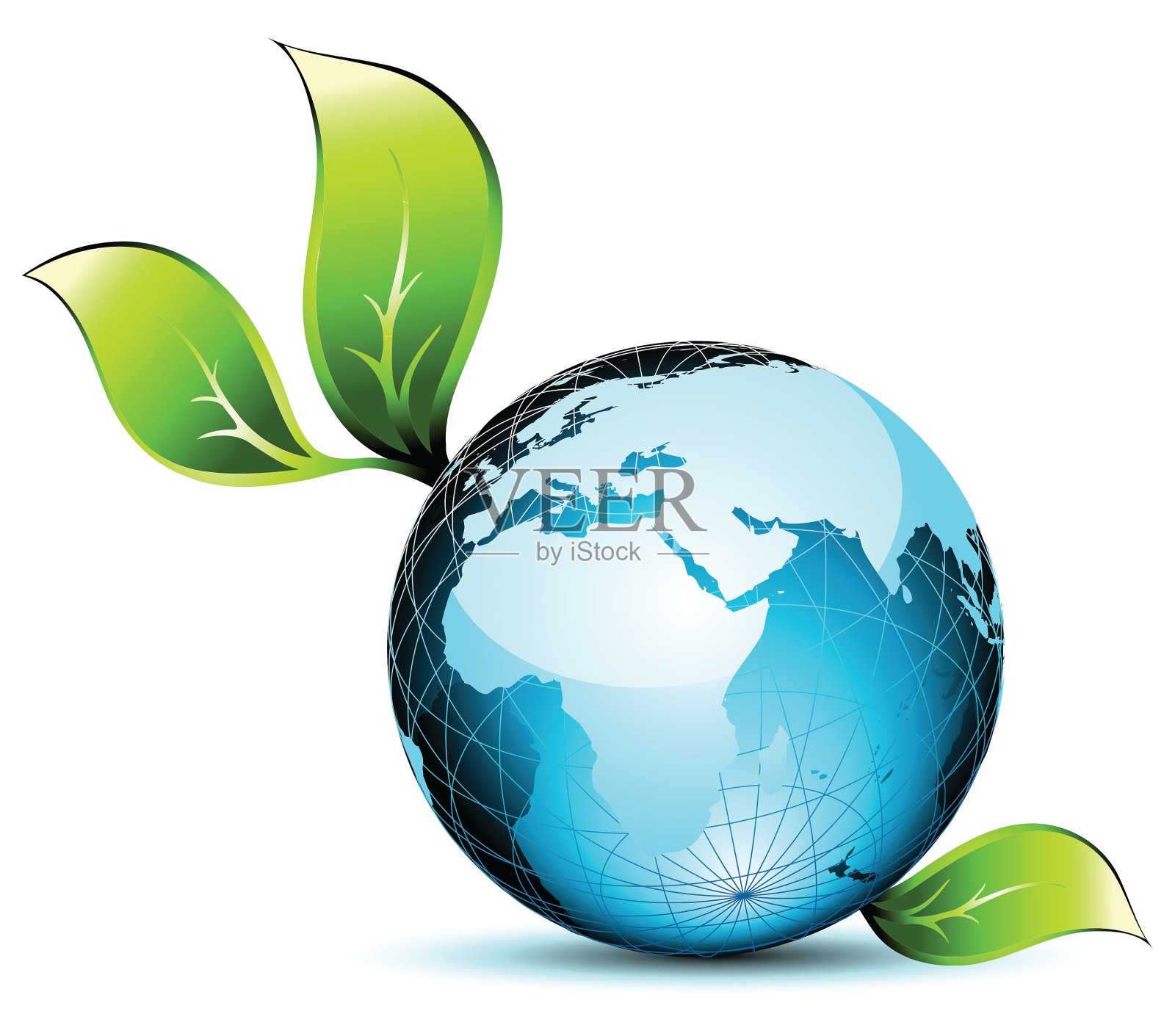 世界花卉插画图片素材