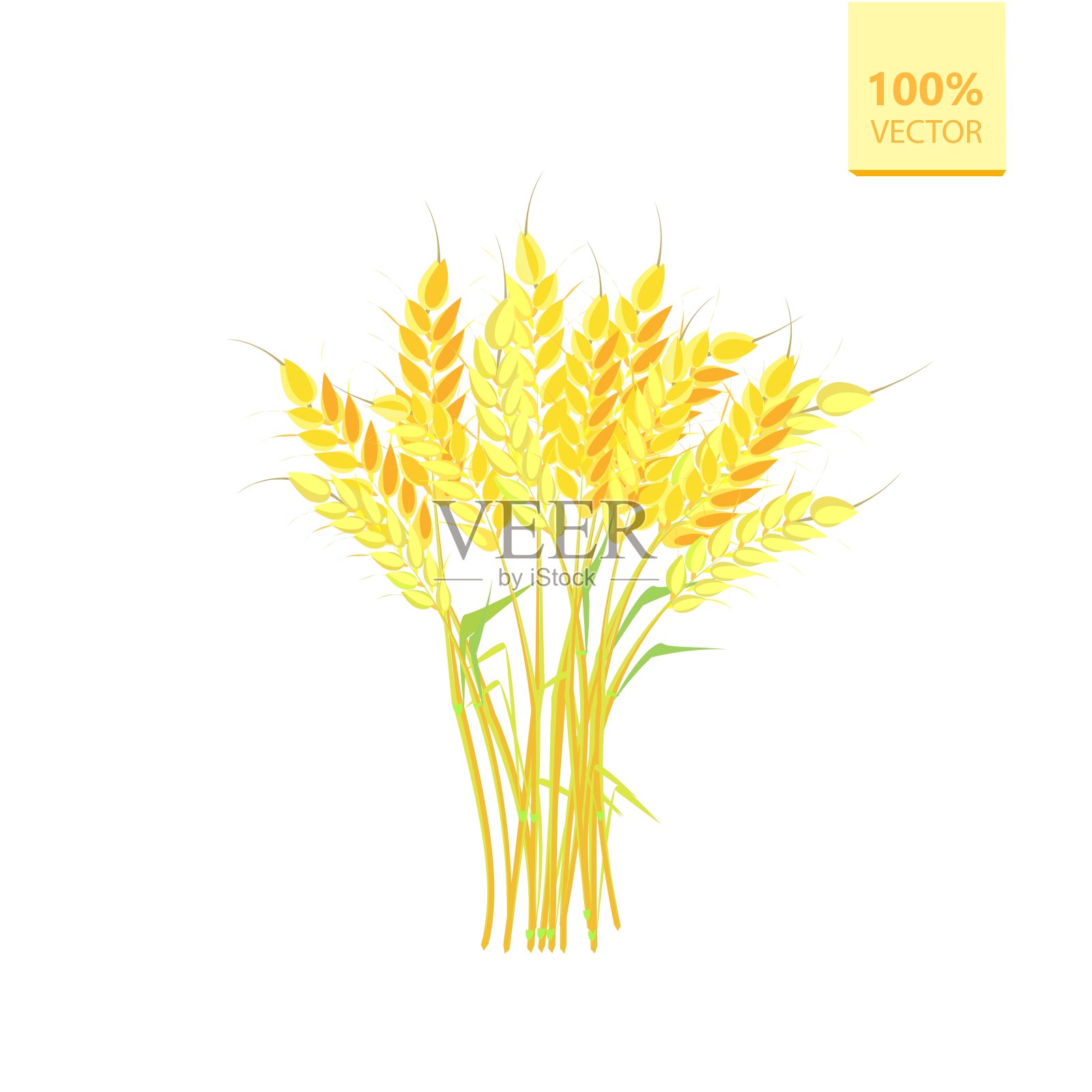 农业谷物小麦插画图片素材