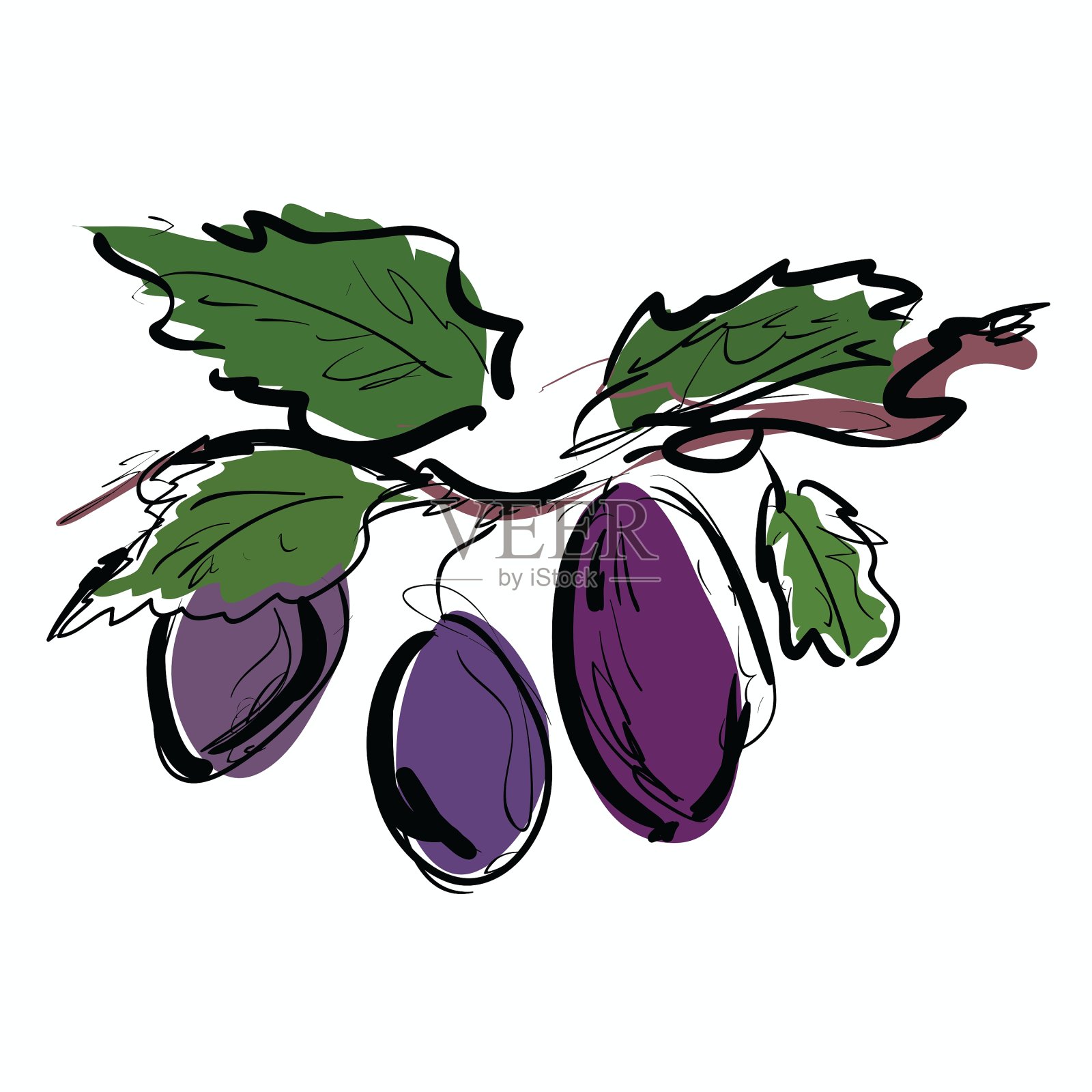 枝上的梅设计元素图片