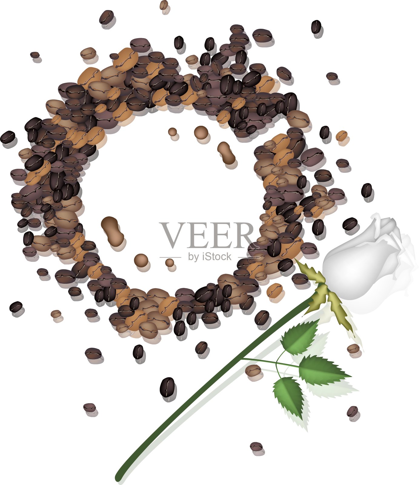 咖啡杯和白玫瑰的咖啡渍插画图片素材