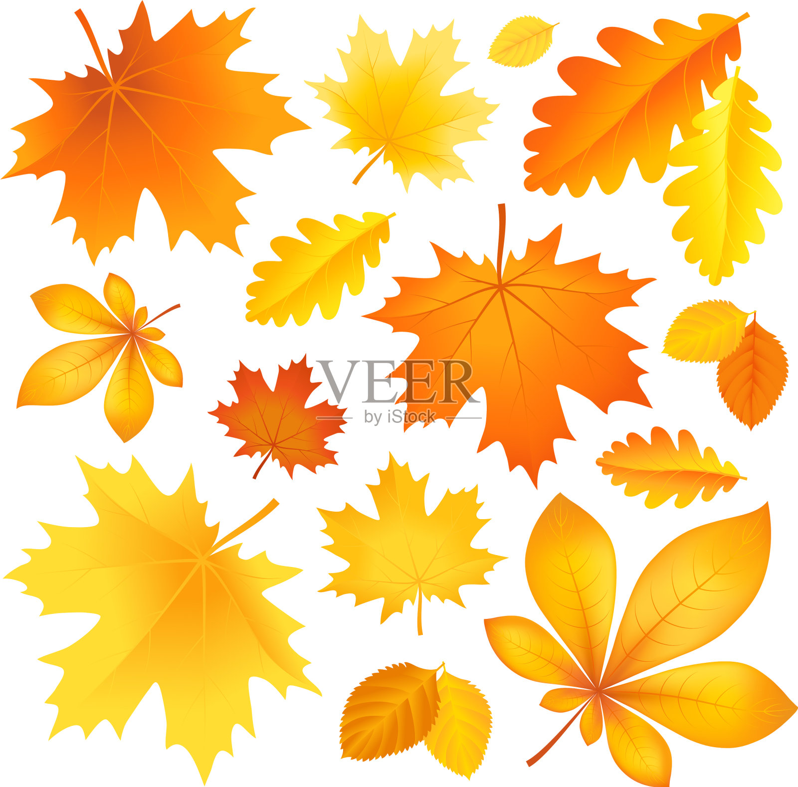 设置秋叶插画图片素材