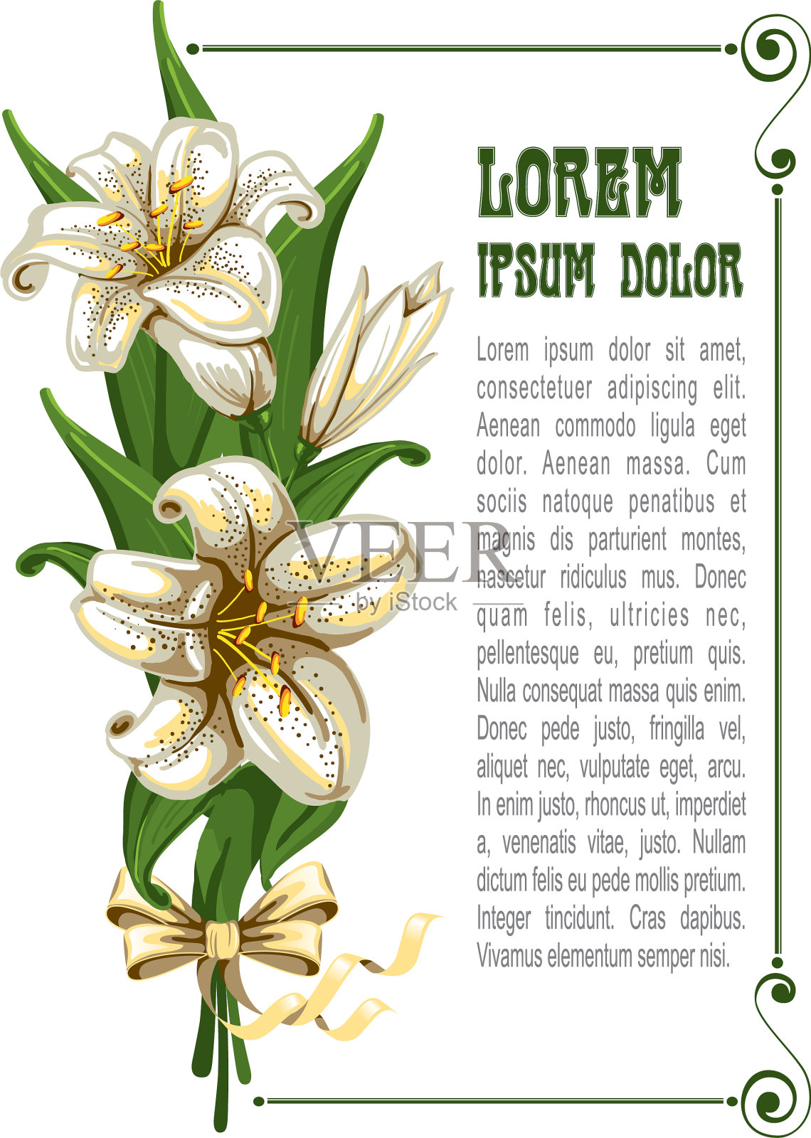 与百合花束插画图片素材