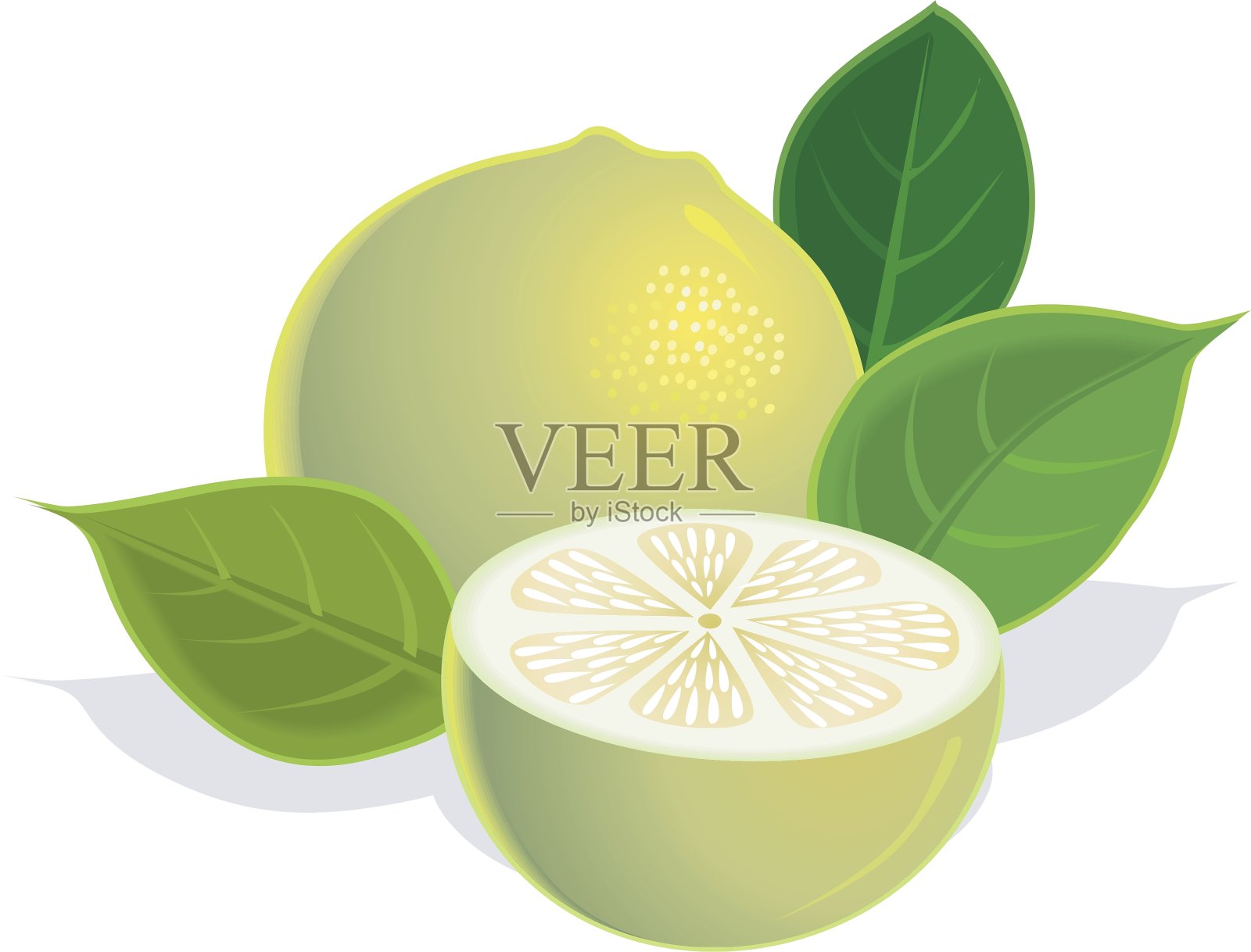 柠檬插画图片素材