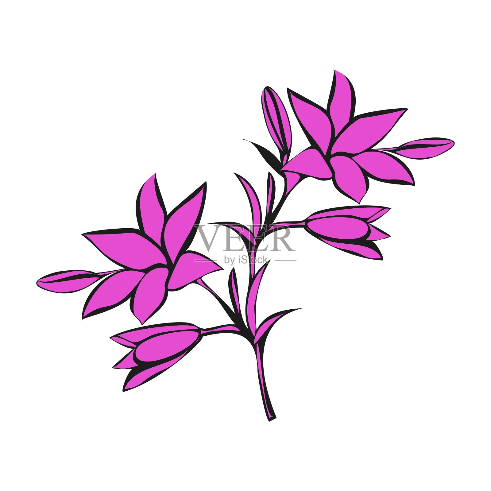 白底百合设计元素图片