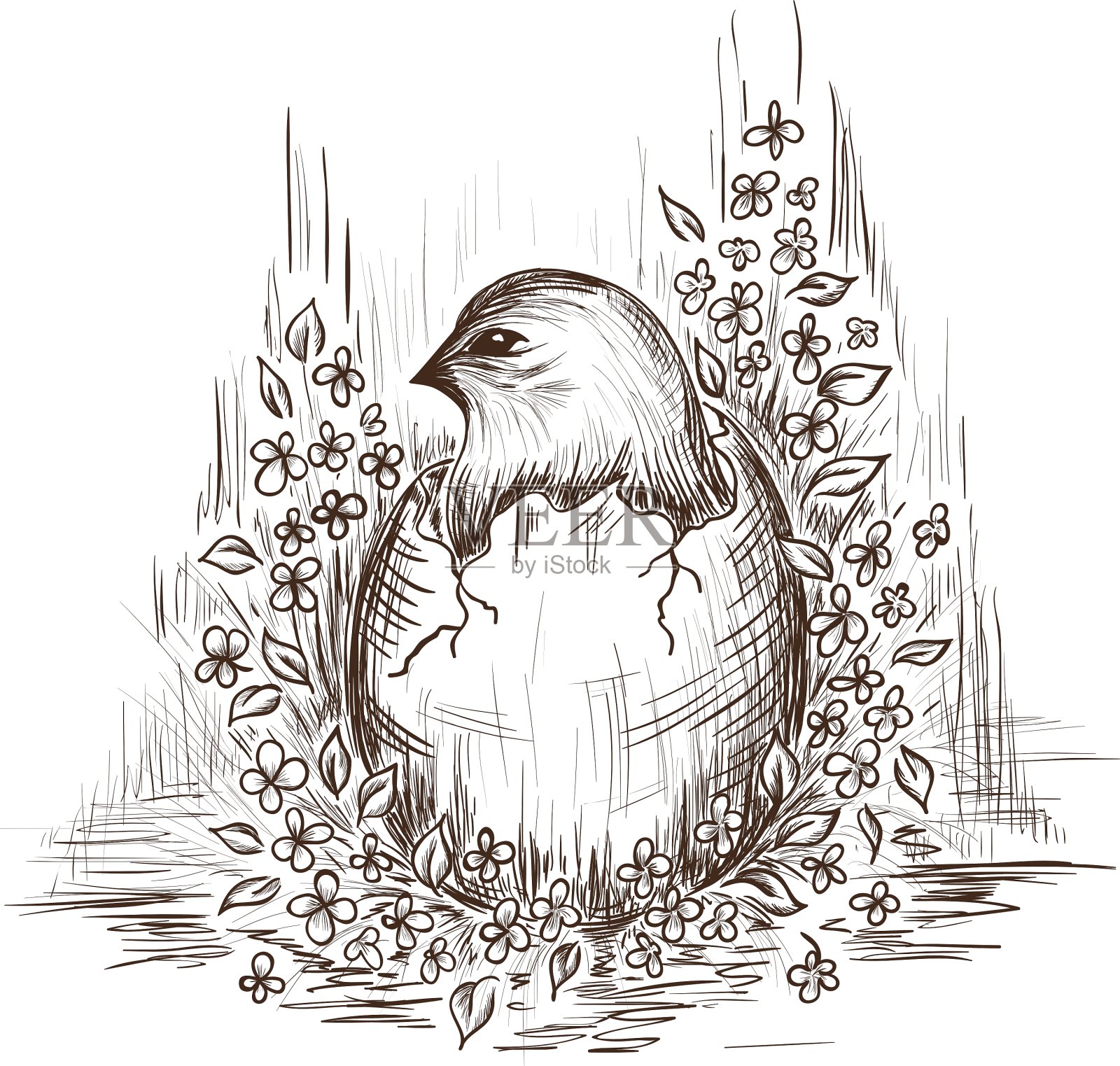 手绘的鸡在蛋里设计元素图片