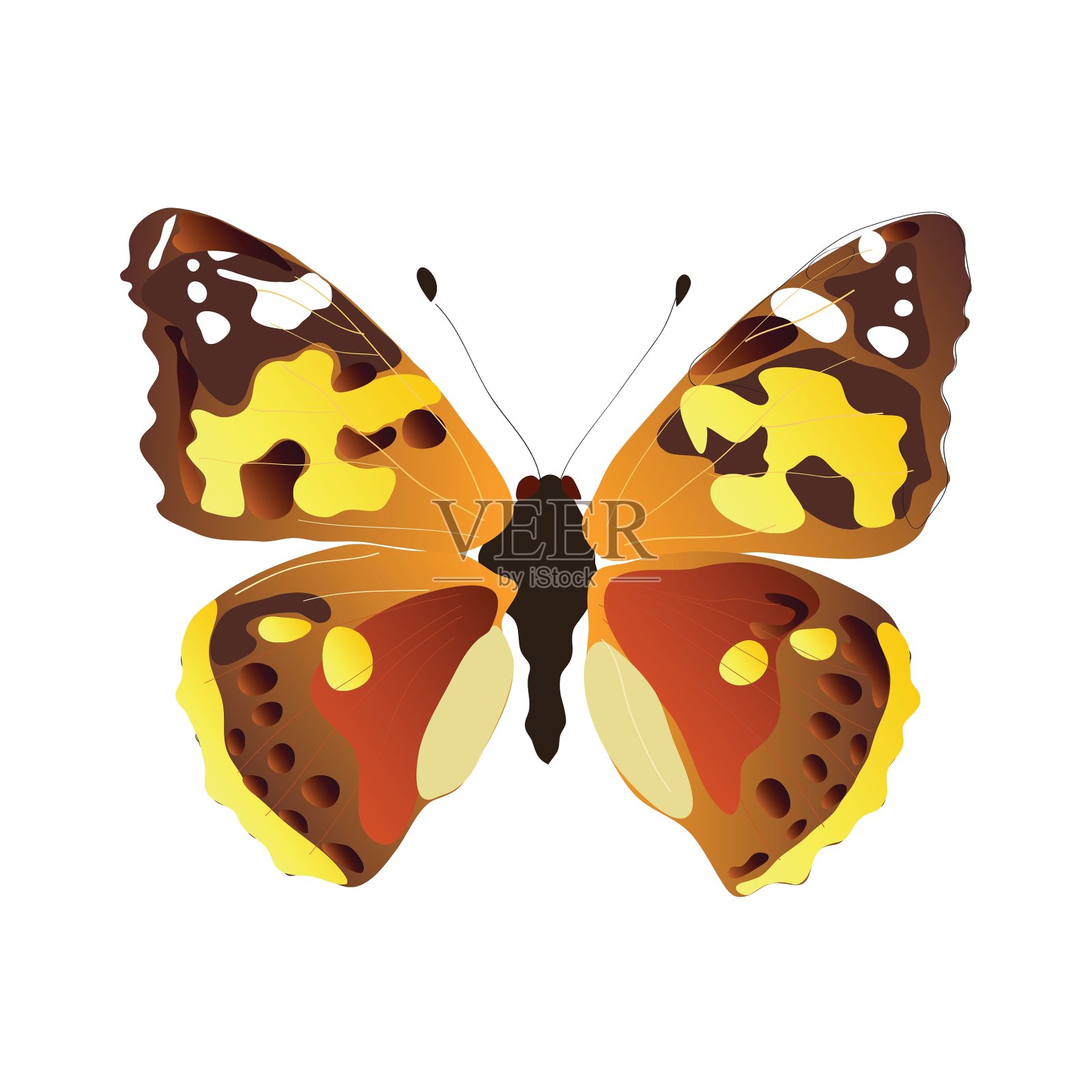 蝴蝶设计元素图片