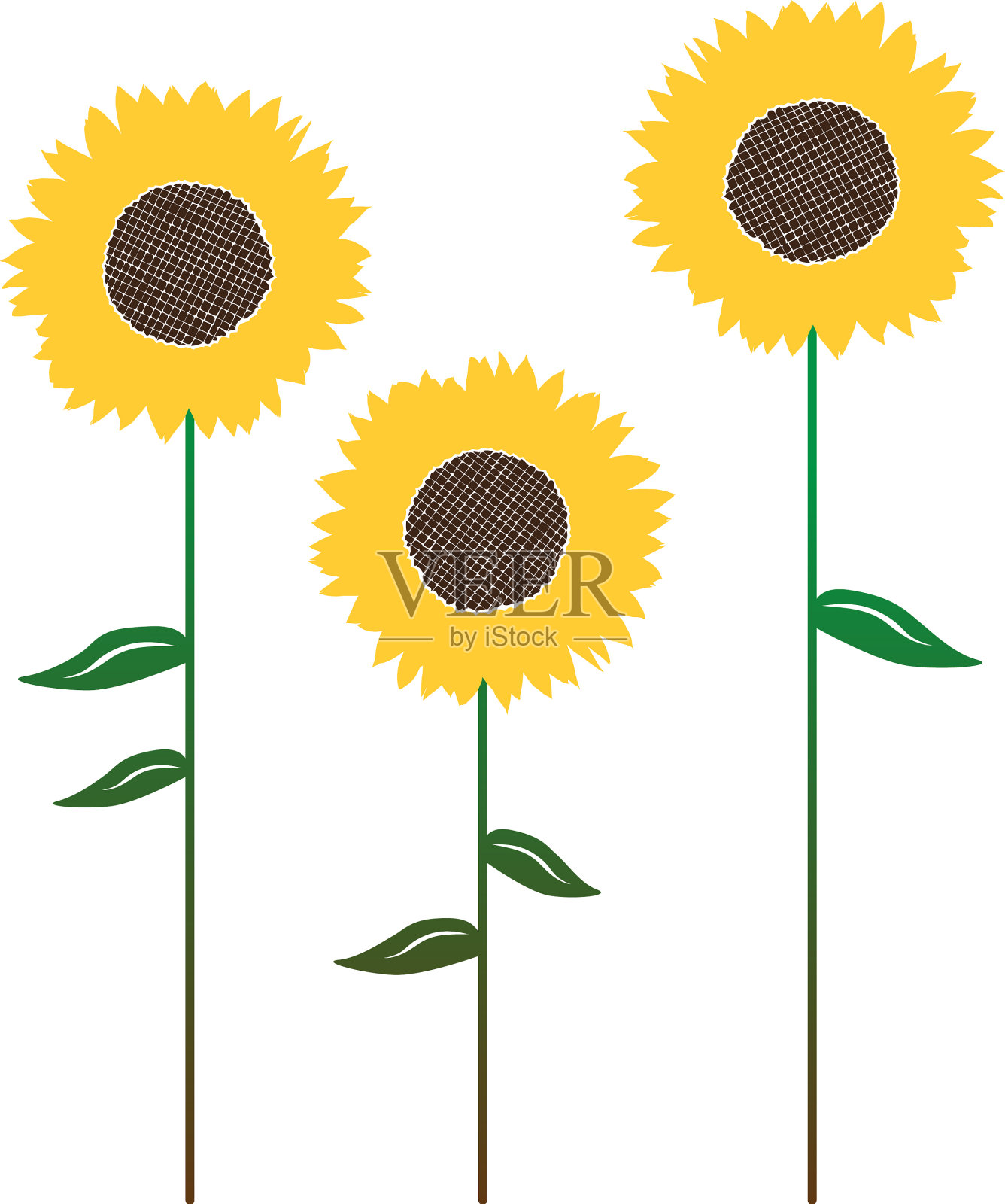 向日葵花的背景设计元素图片