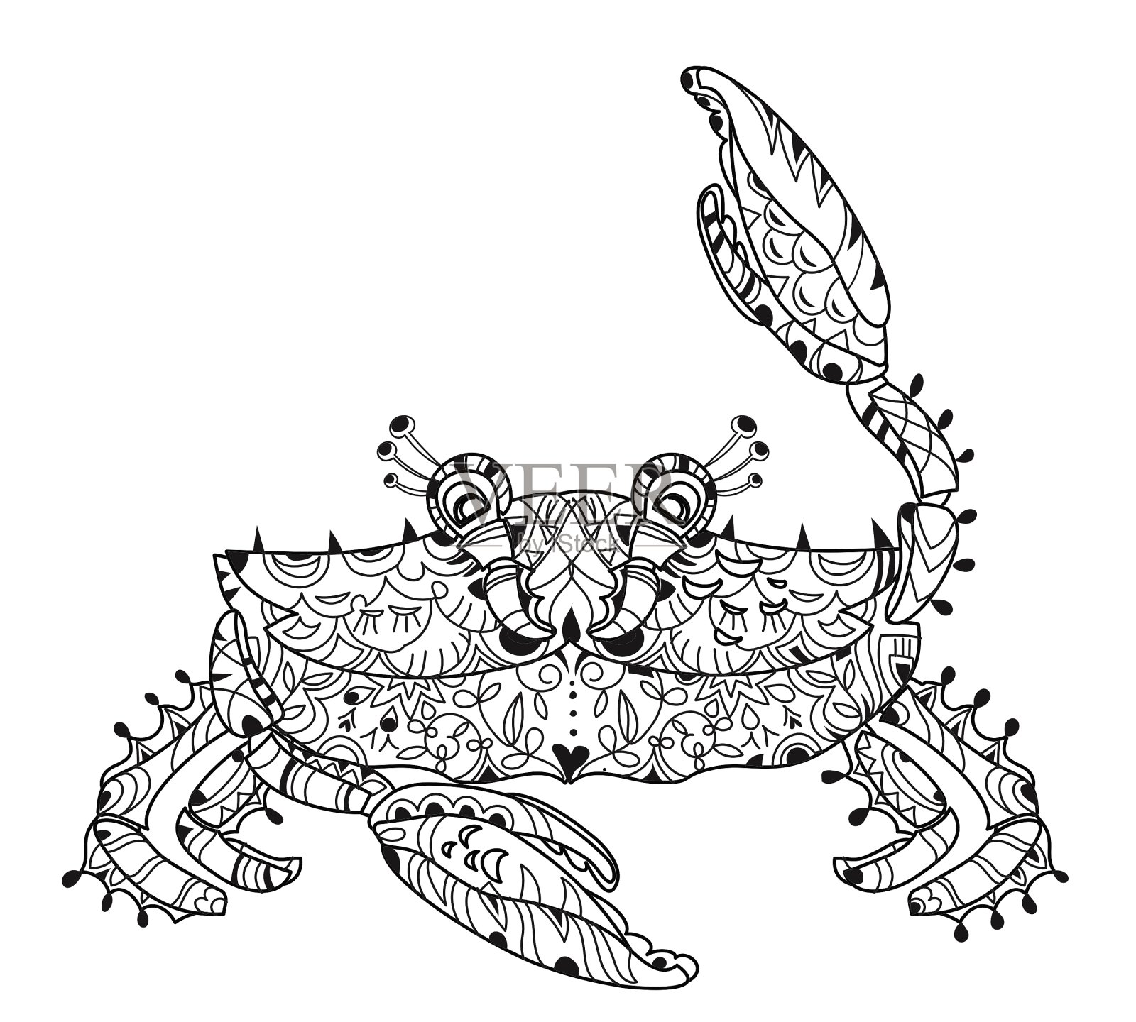 奇异的热带蟹设计元素图片