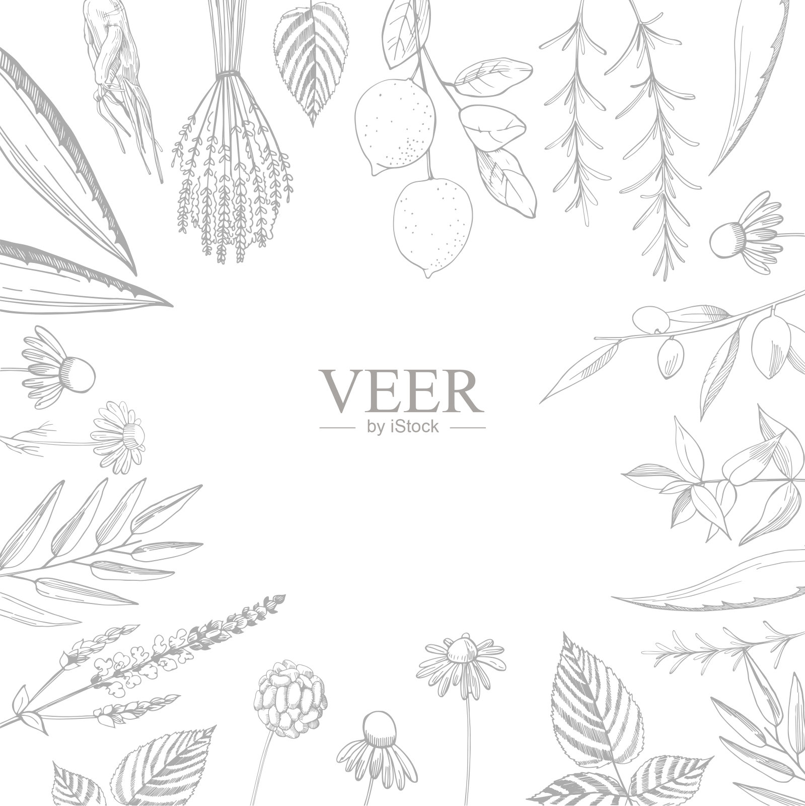 有机化妆品的背景。插画图片素材