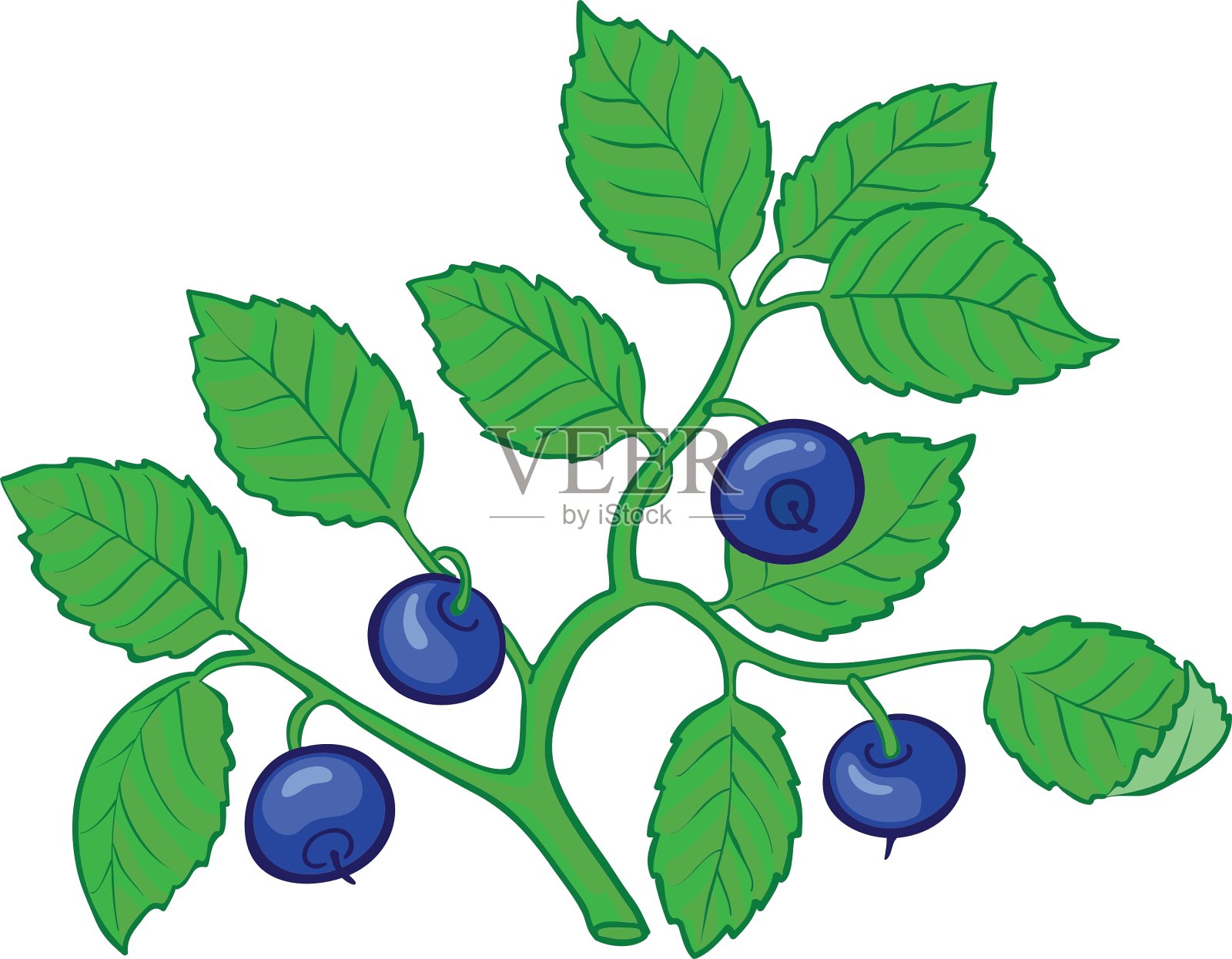 越桔分支设计元素图片