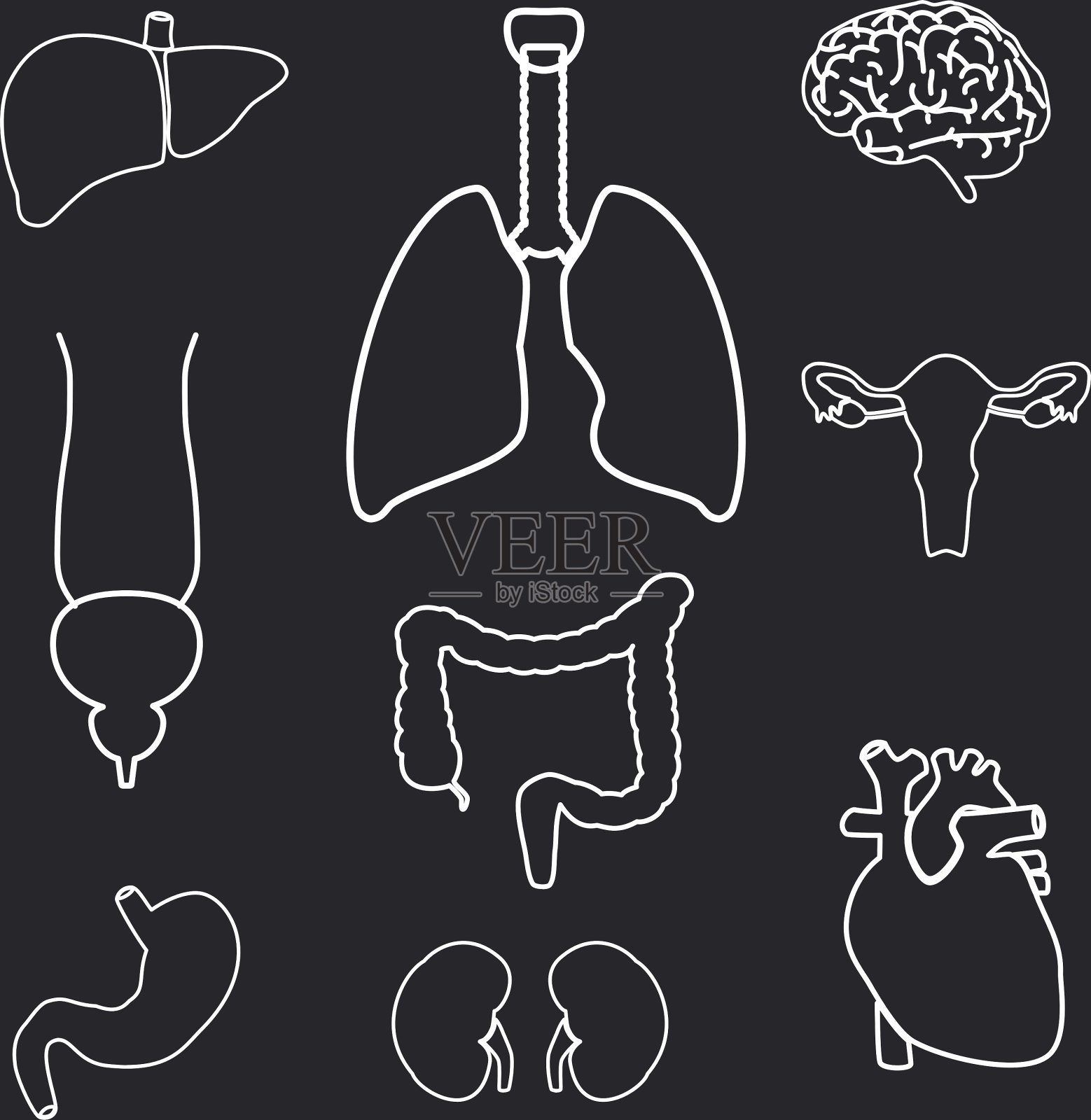 人体内部器官轮廓符号eps10插画图片素材