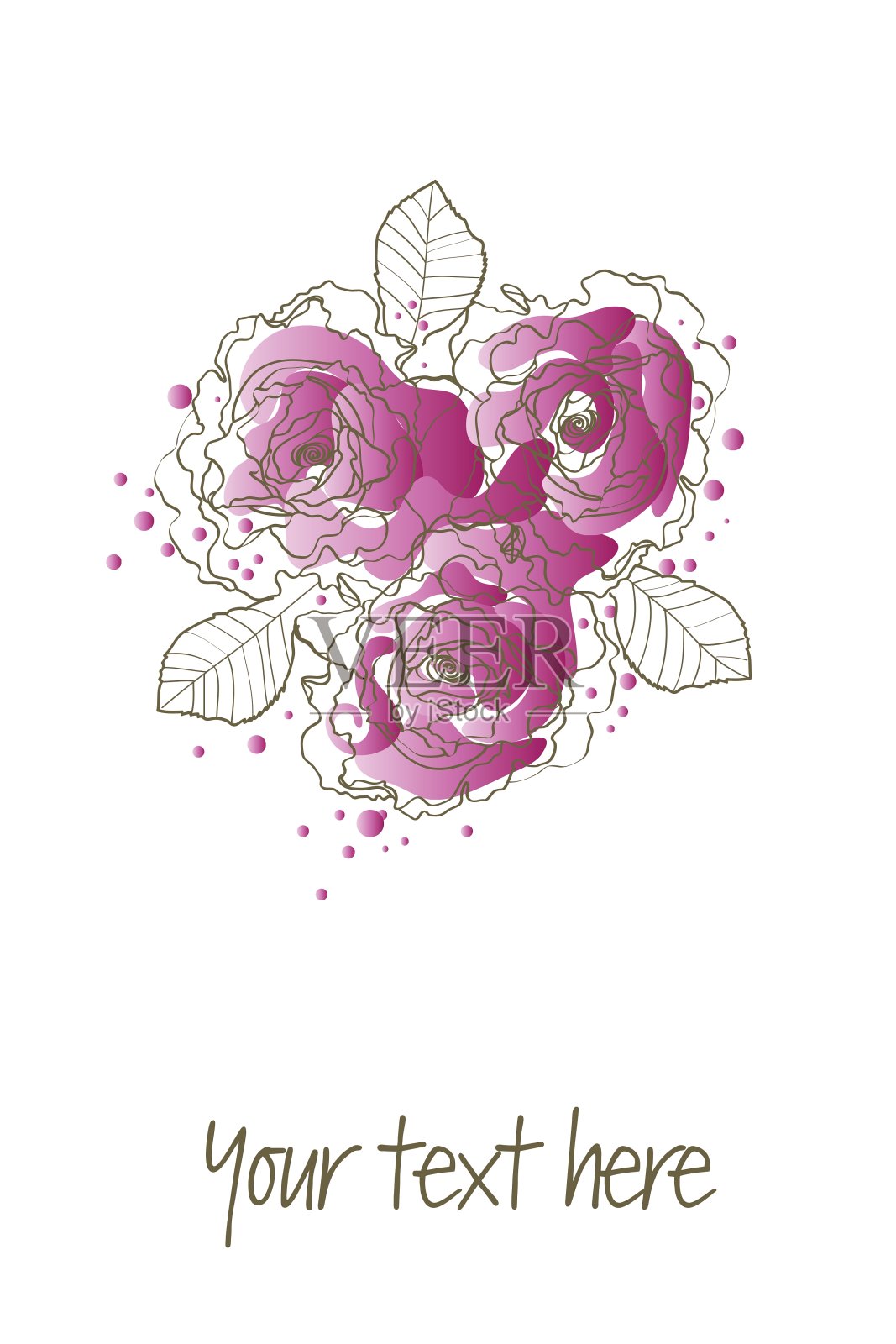 紫色的玫瑰插画图片素材