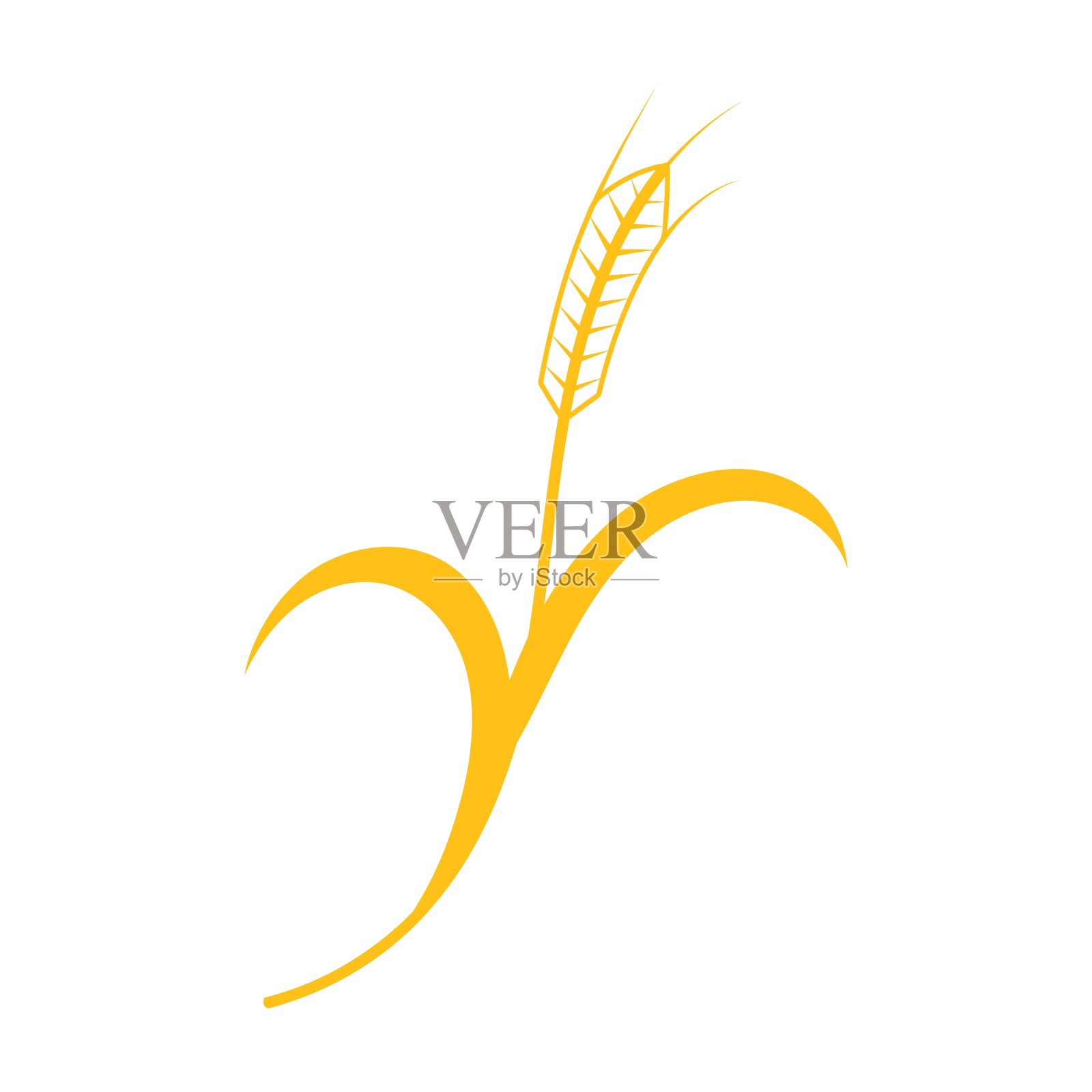 小麦、大麦或黑麦的穗子设计元素图片