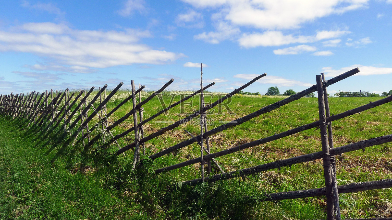 沿着田地的长篱笆照片摄影图片