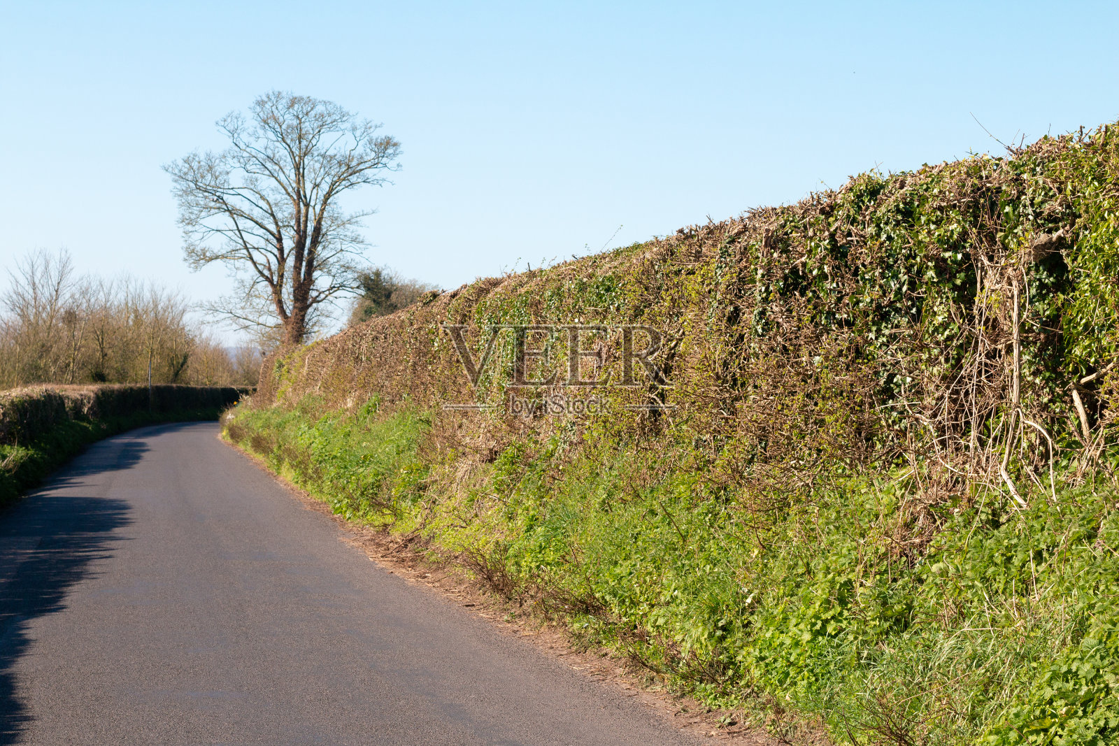 英国恩斯福德的Sparepenny巷照片摄影图片